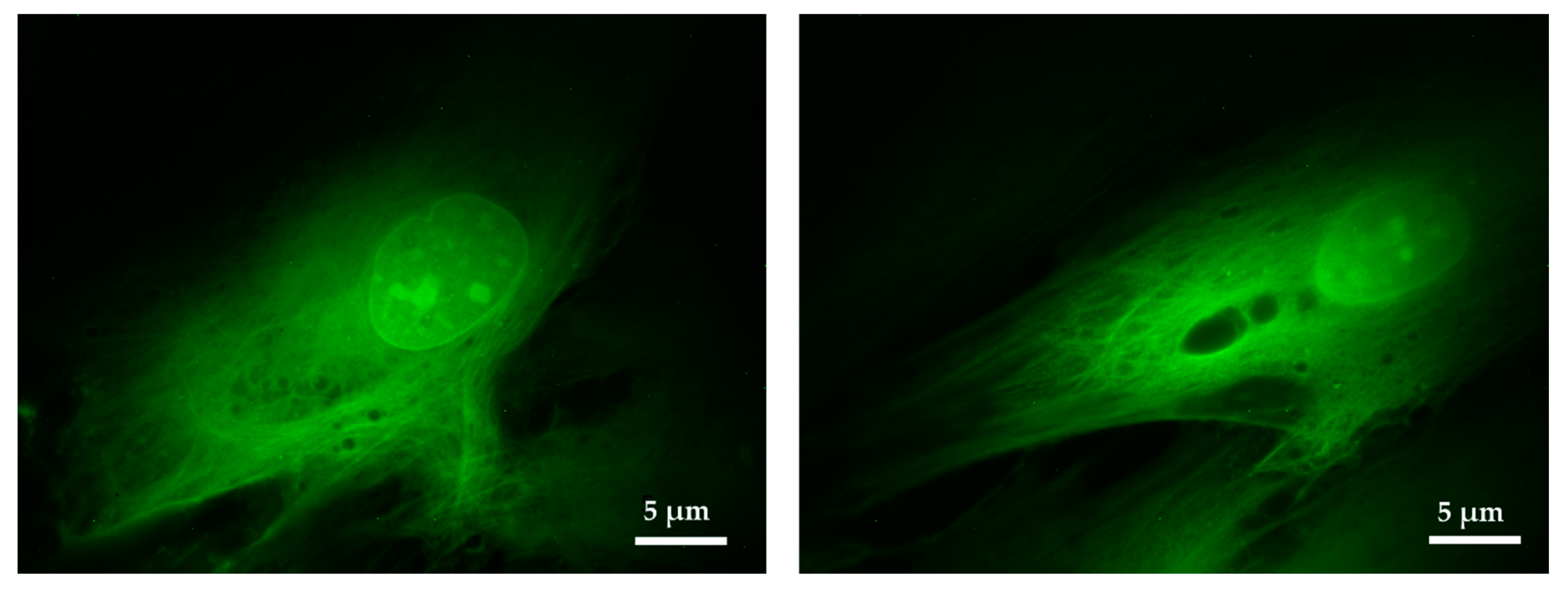 Sensors 20 04140 g006