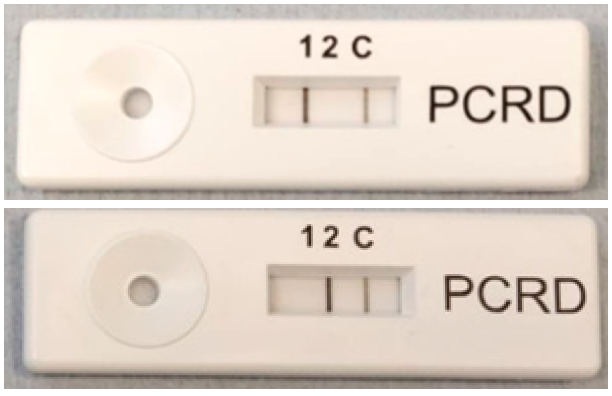 Sensors 20 04182 g006