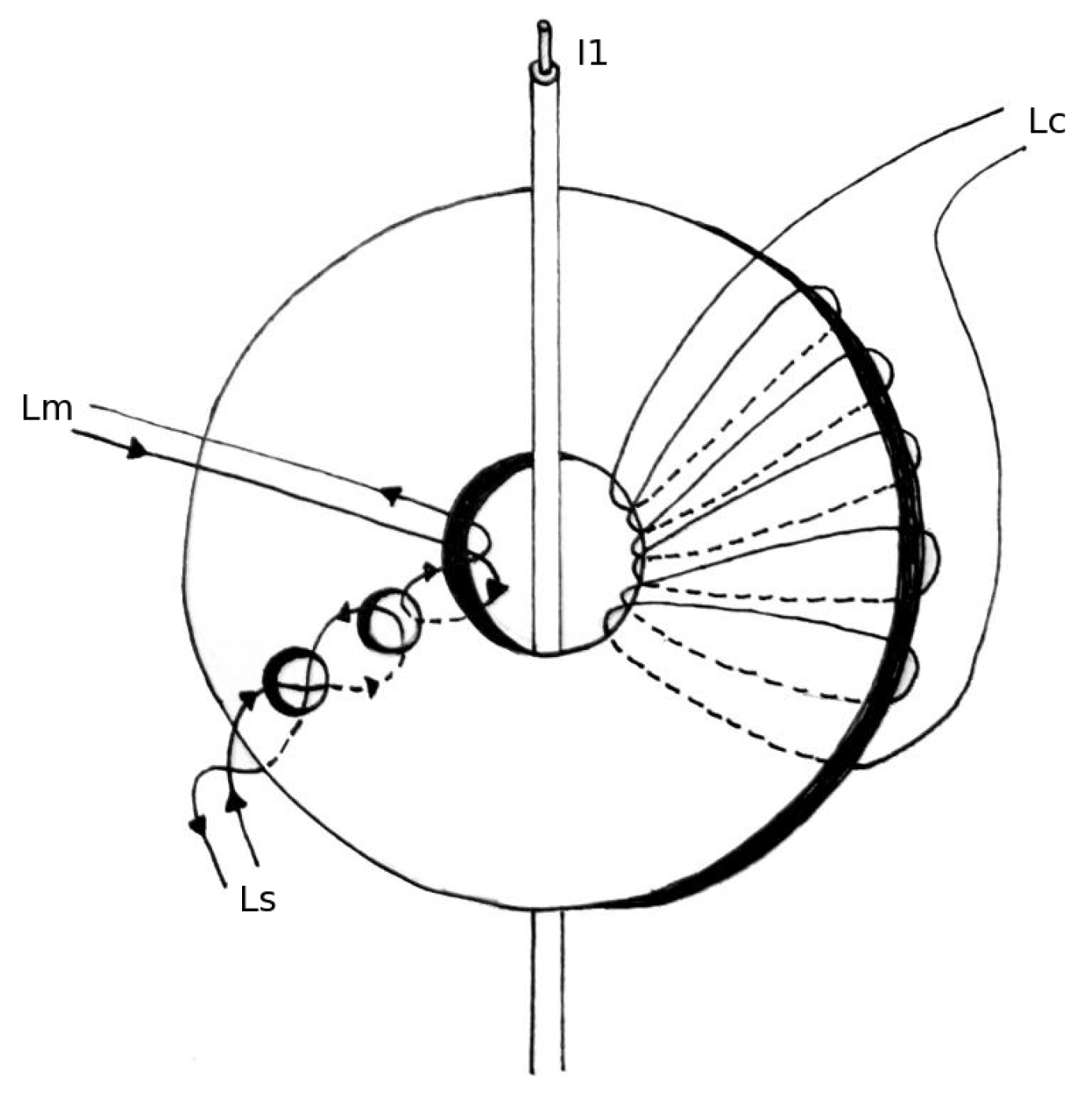 Sensors 20 04197 g005