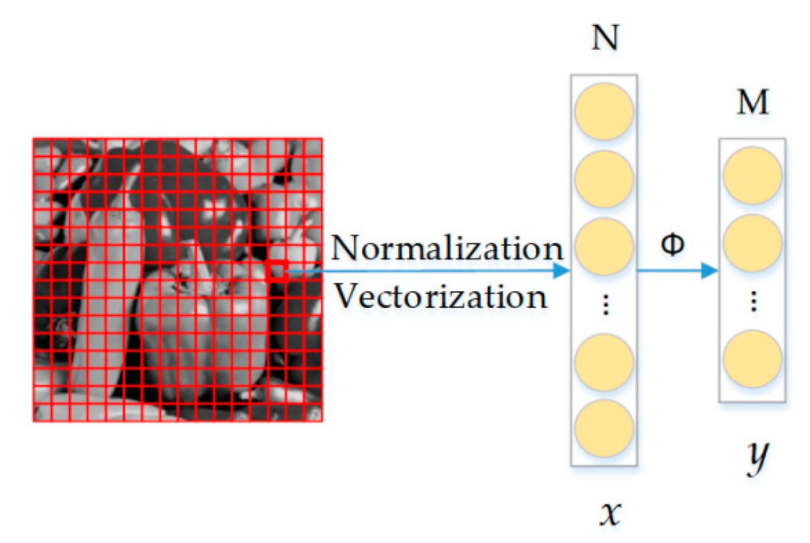 Sensors 20 04202 g003