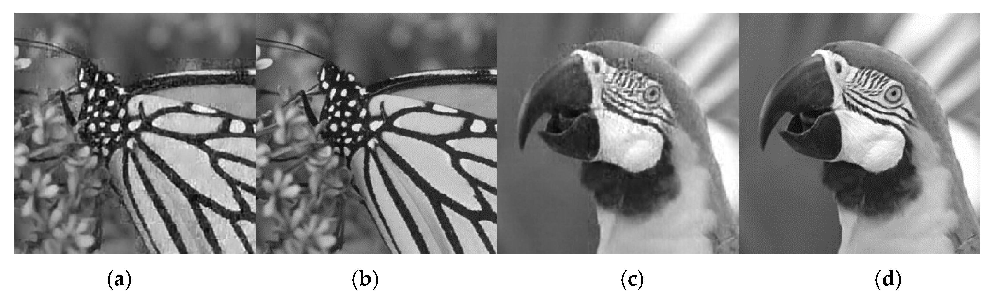 Sensors 20 04202 g008