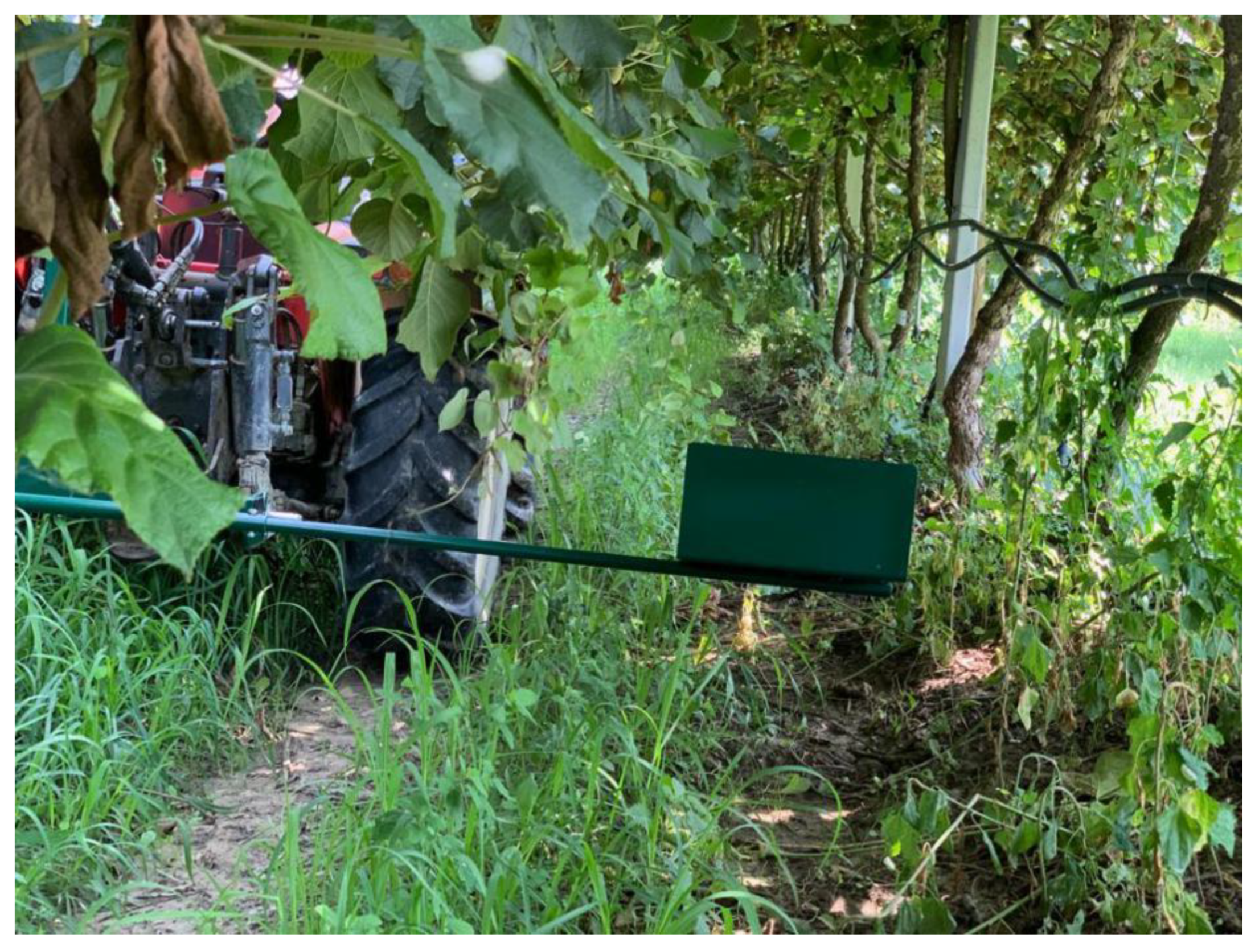 Sensors 20 04214 g004