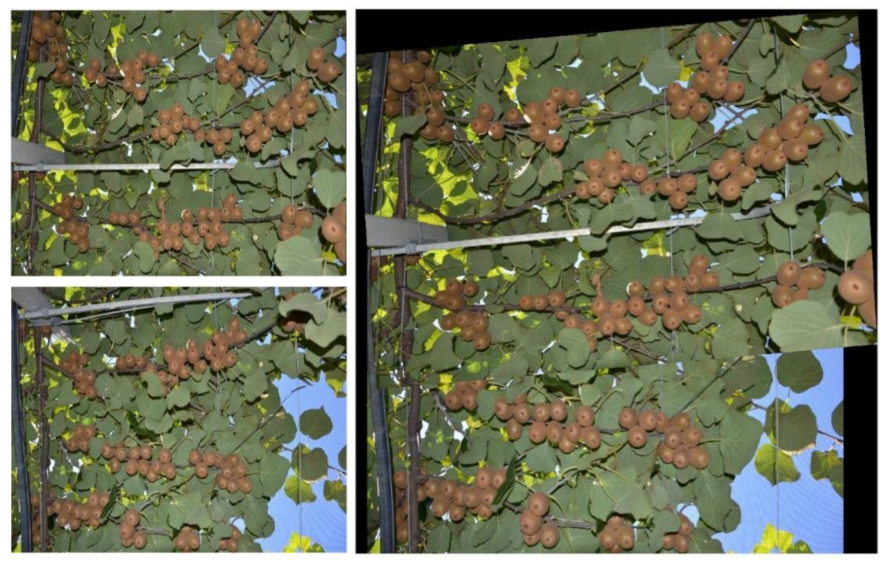 Sensors 20 04214 g006