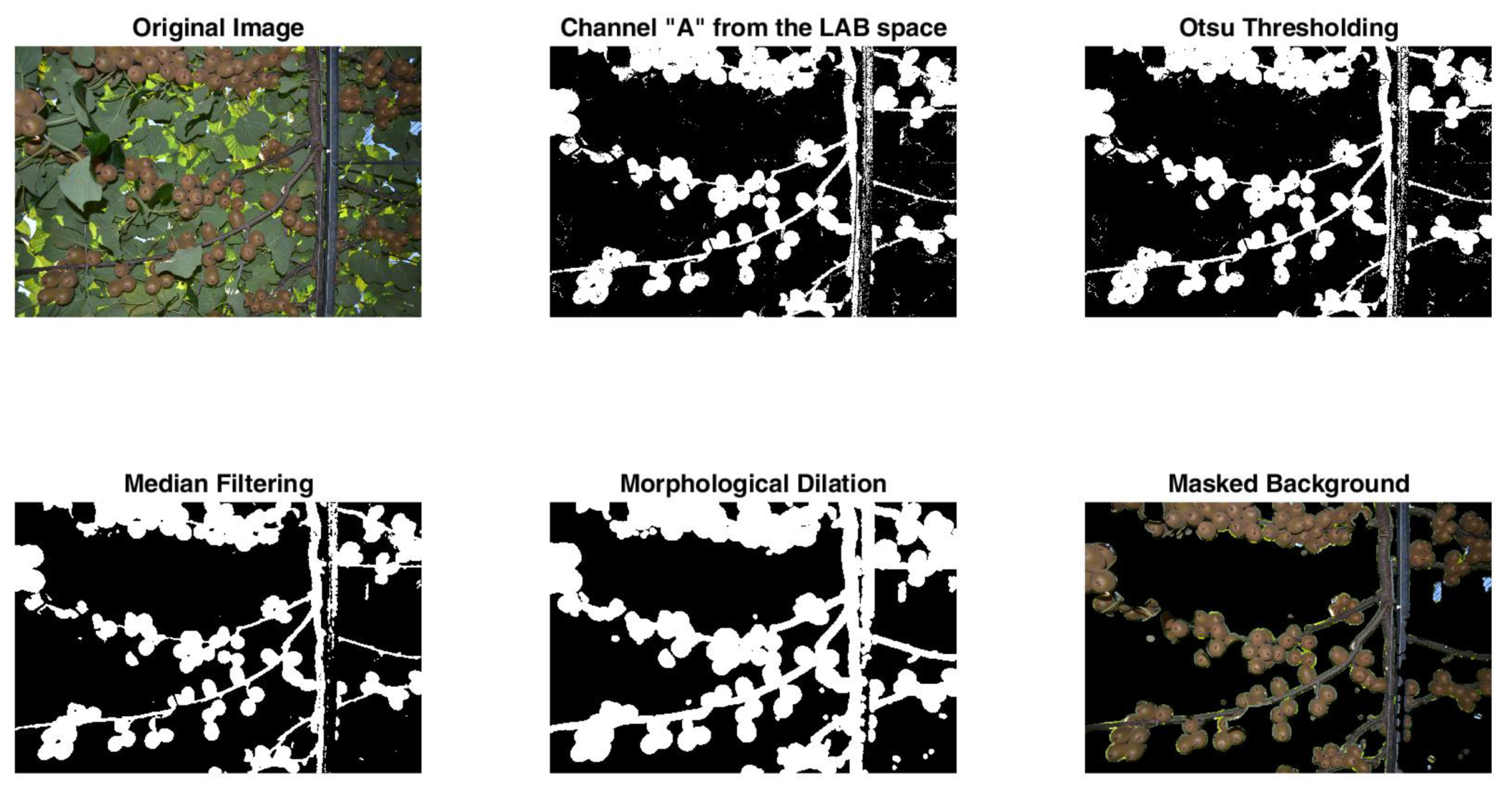 Sensors 20 04214 g008