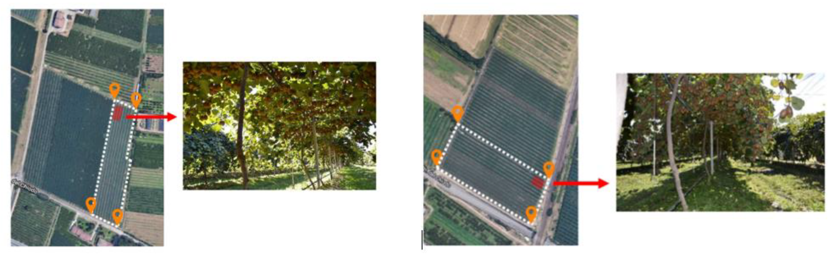 Sensors 20 04214 g013