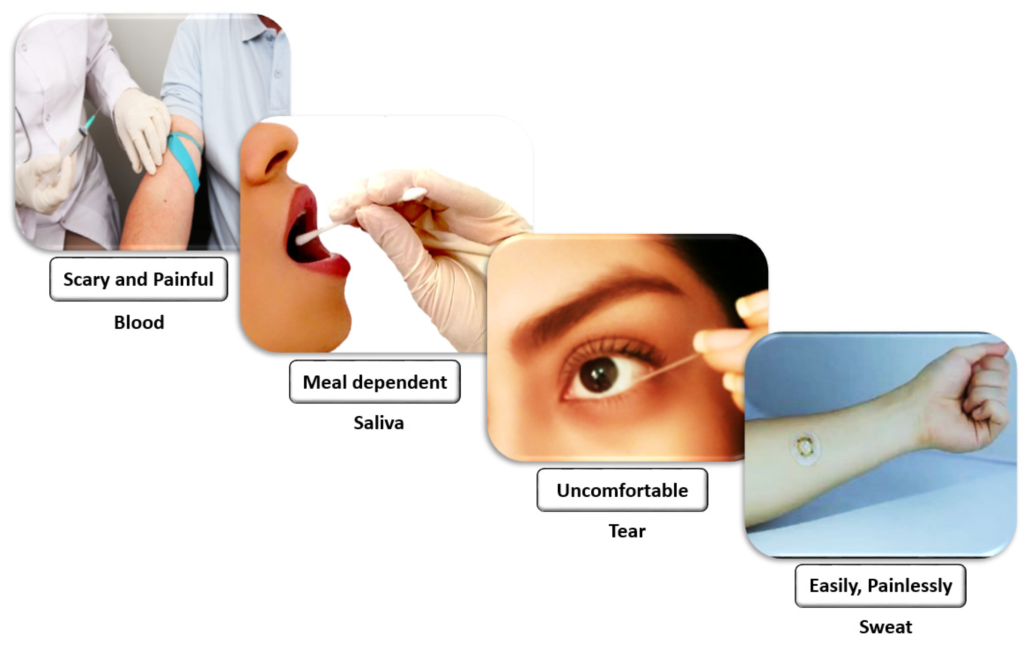 Sensors 20 04236 g002