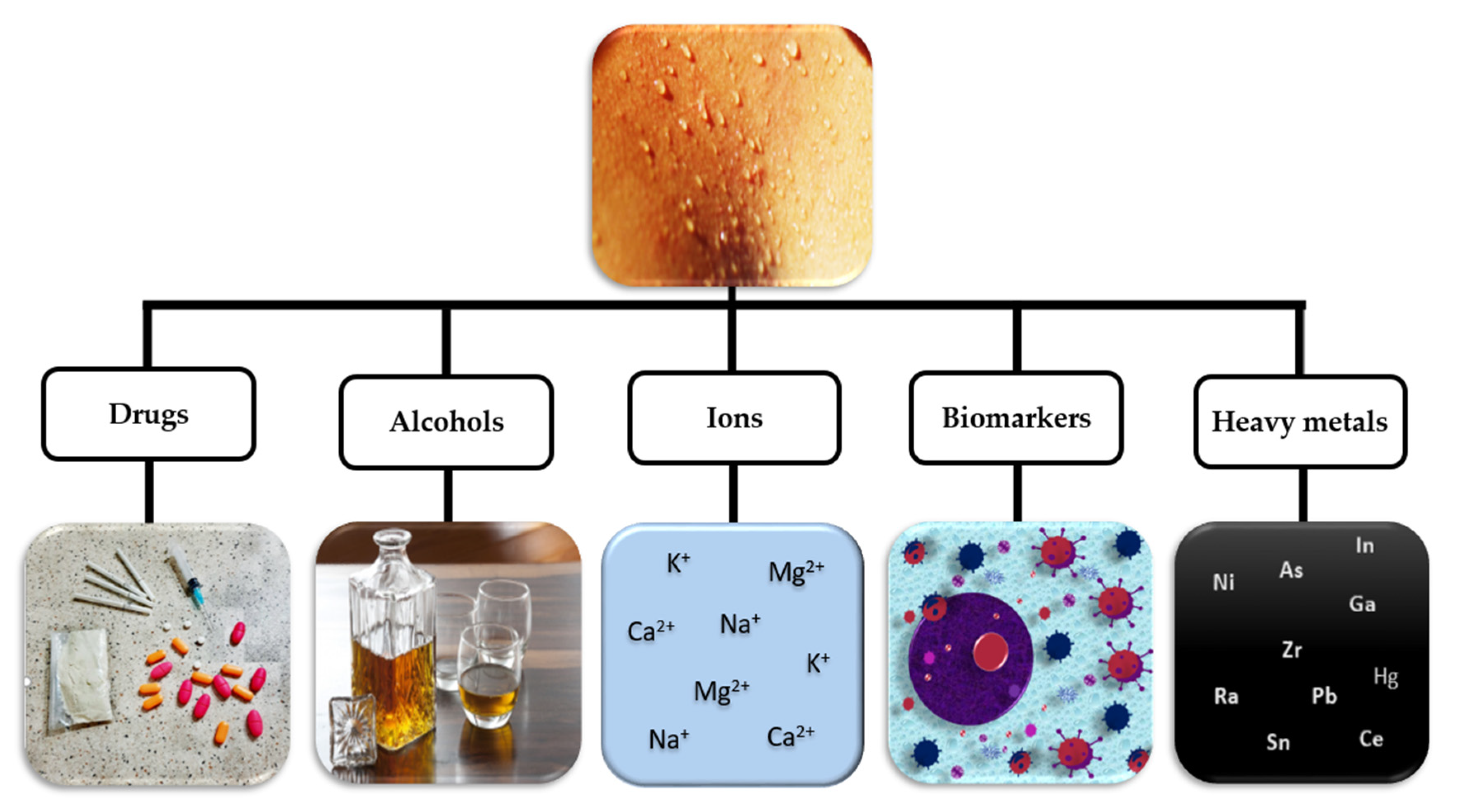 Sensors 20 04236 g003