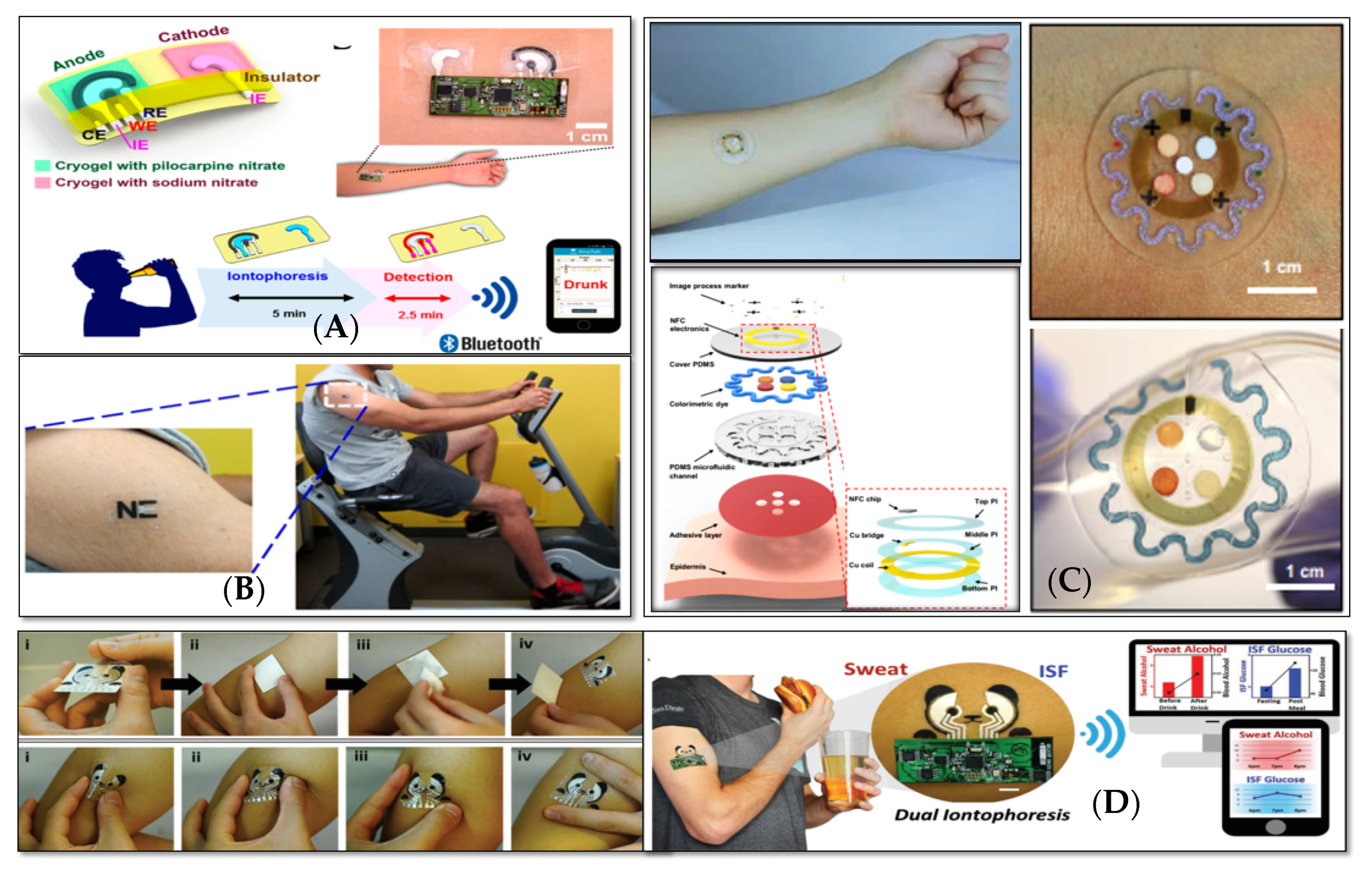 Sensors 20 04236 g004