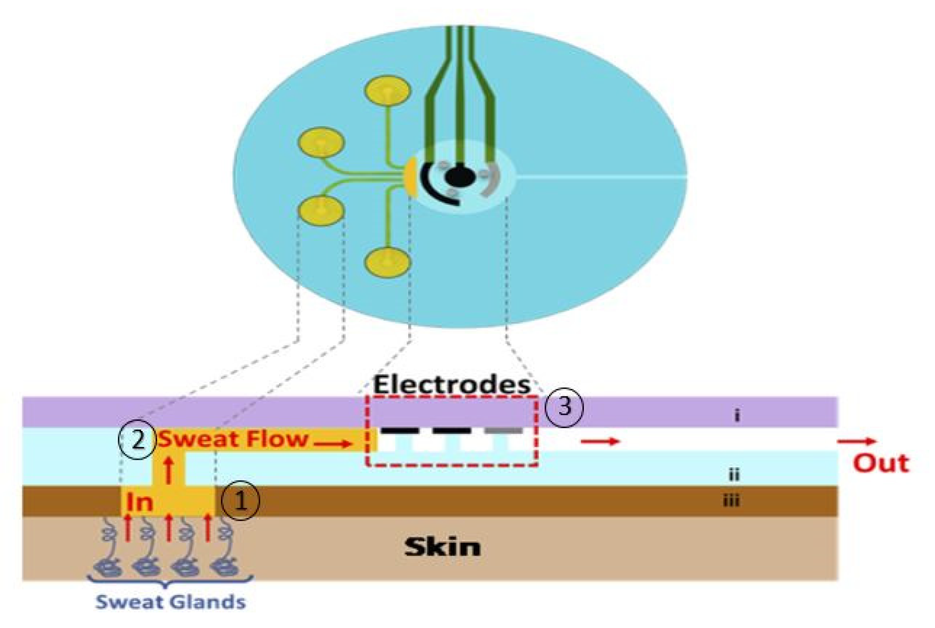 Sensors 20 04236 g005