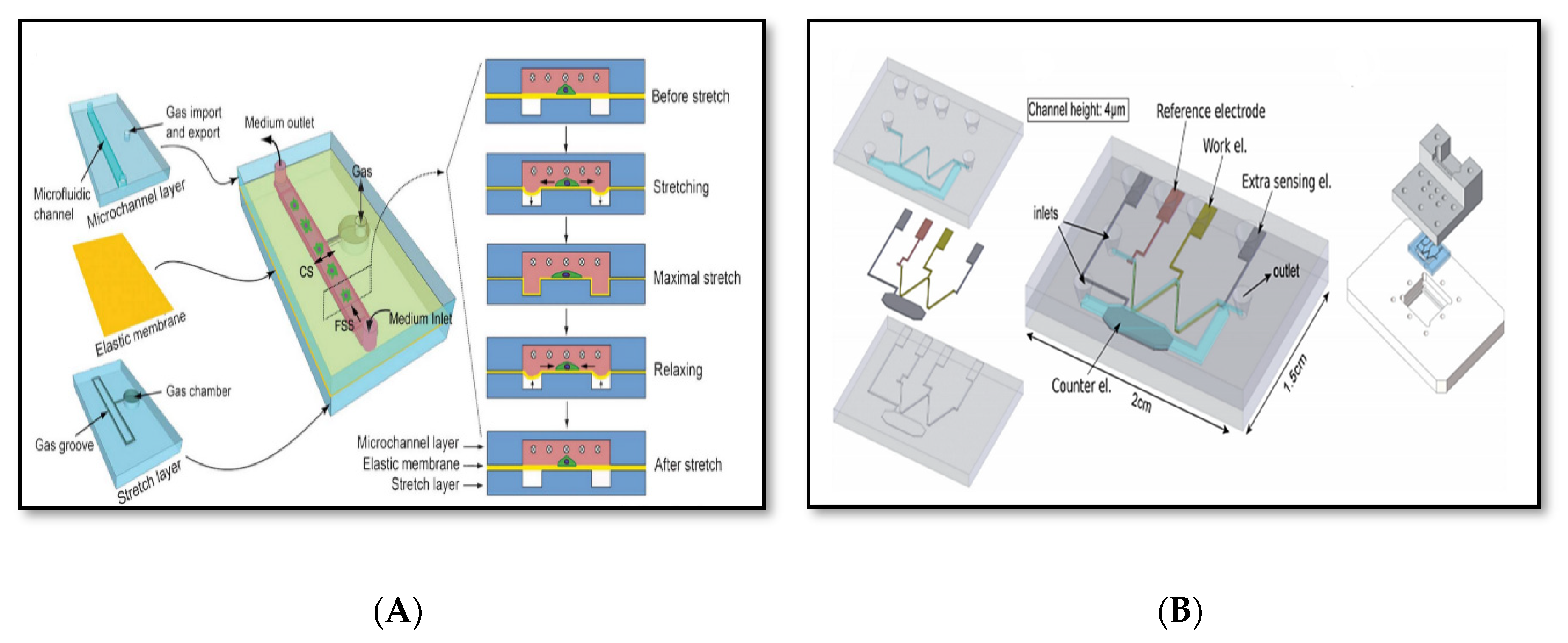 Sensors 20 04236 g006