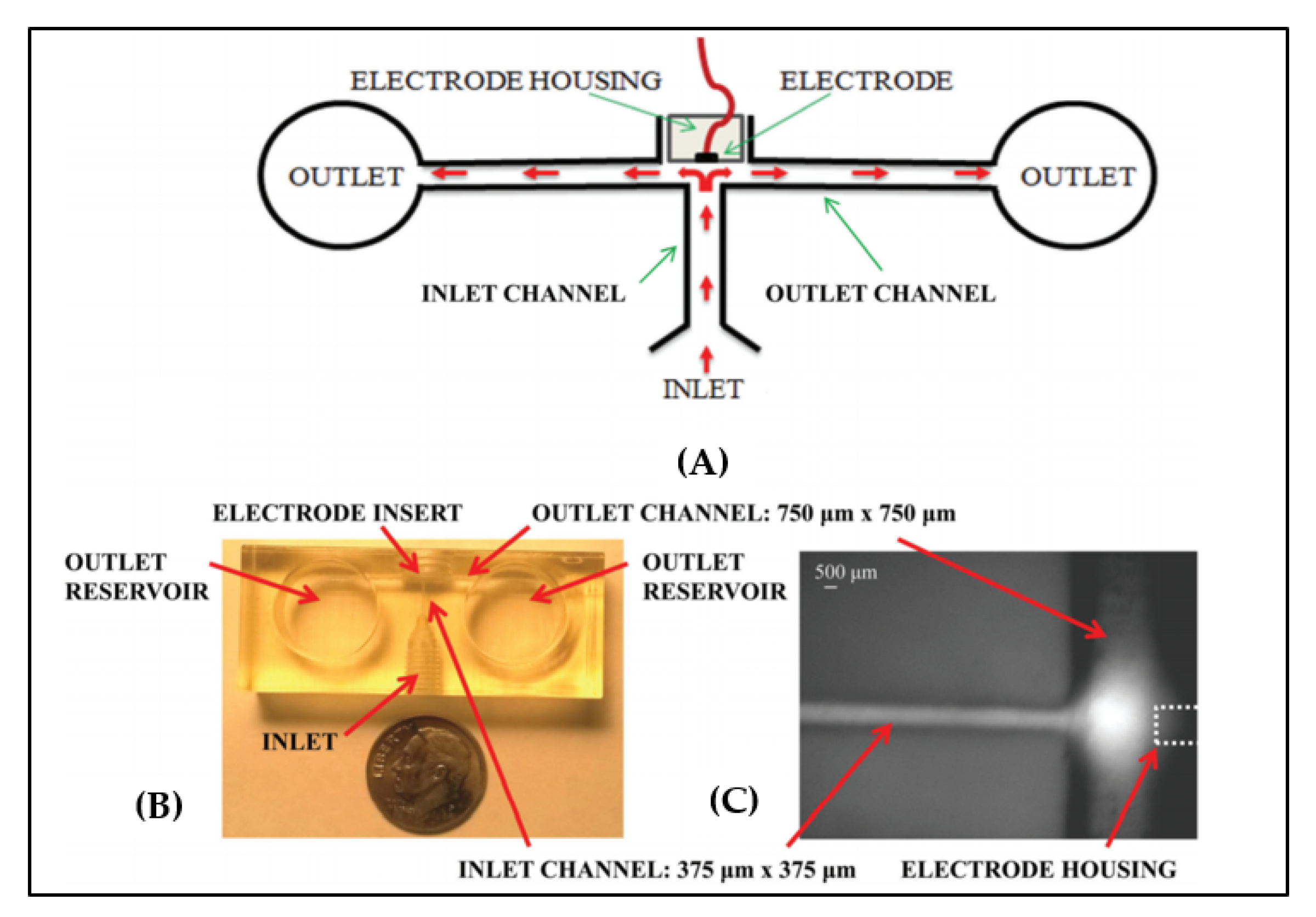 Sensors 20 04236 g013