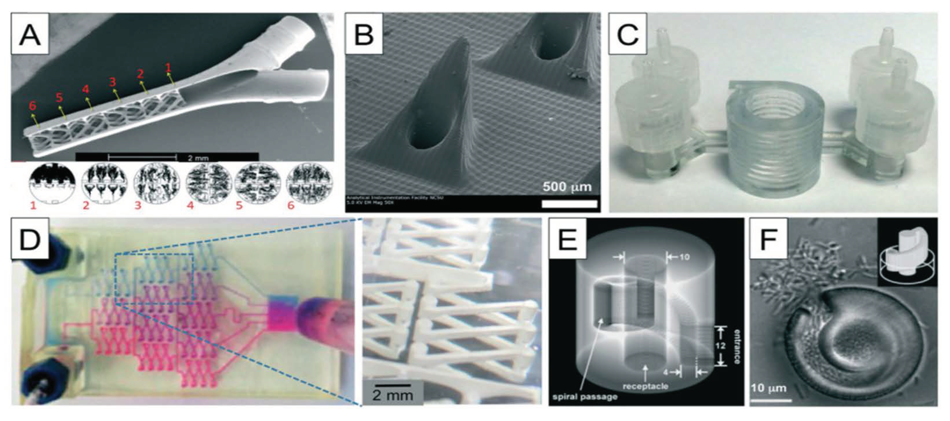 Sensors 20 04236 g015