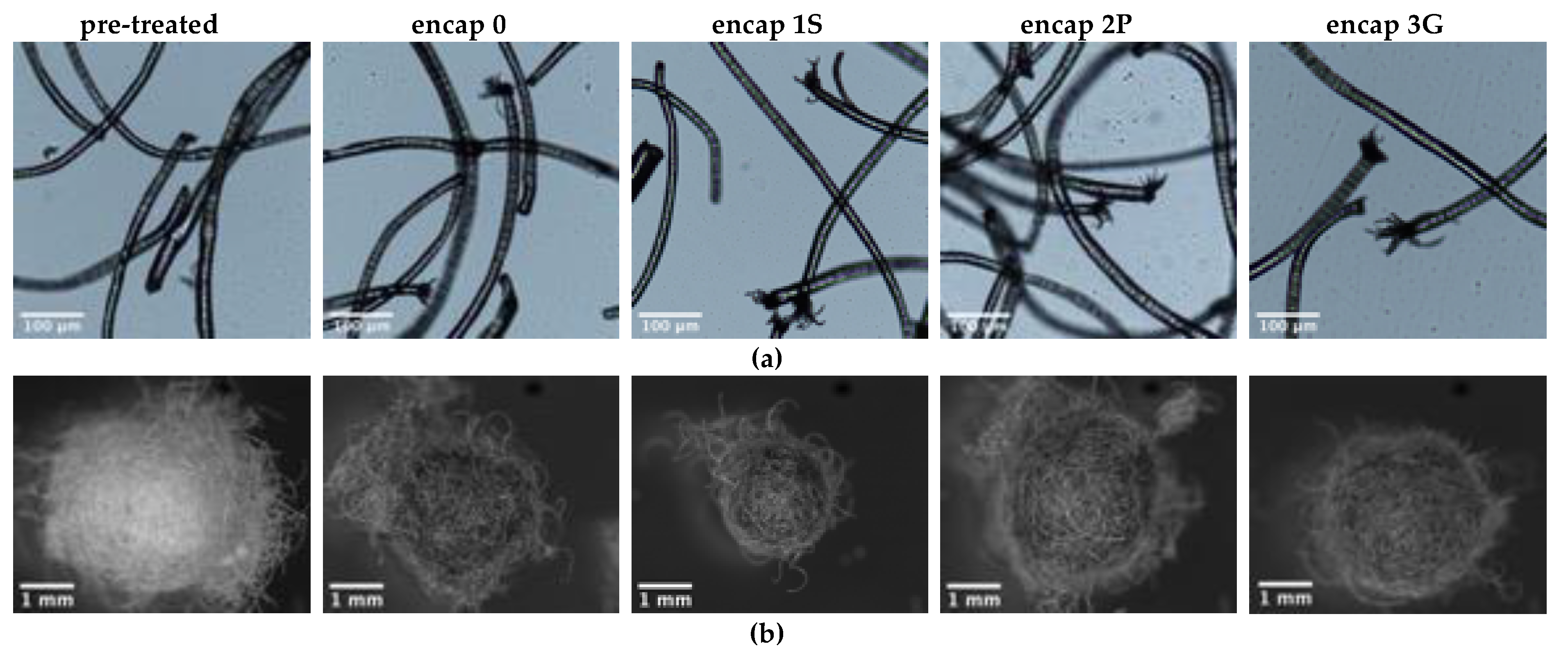 Sensors 20 04243 g005 Sensors 20 04243 g005