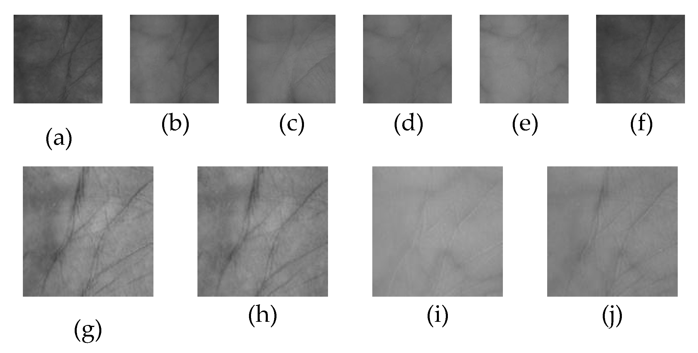 Sensors 20 04250 g004 Sensors 20 04250 g004