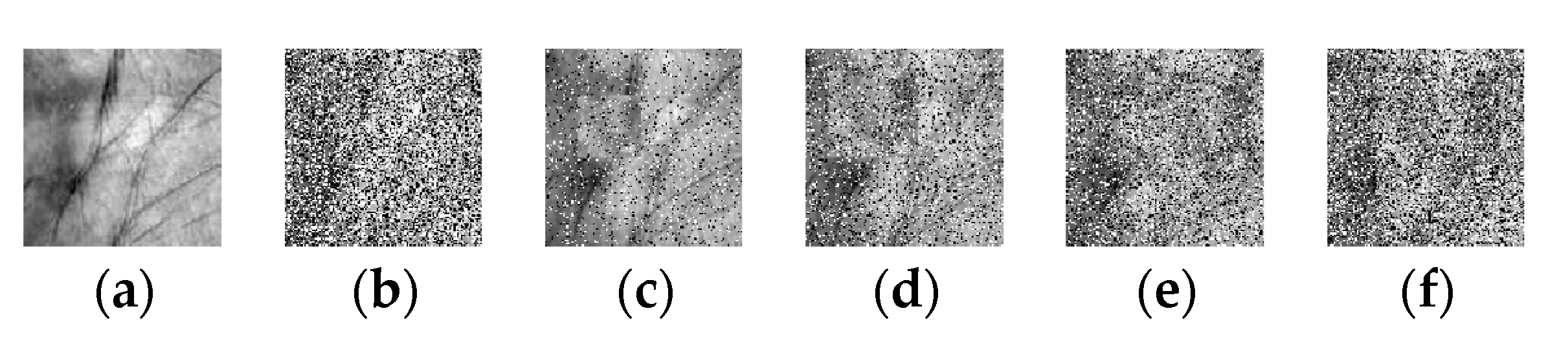 Sensors 20 04250 g011 Sensors 20 04250 g011