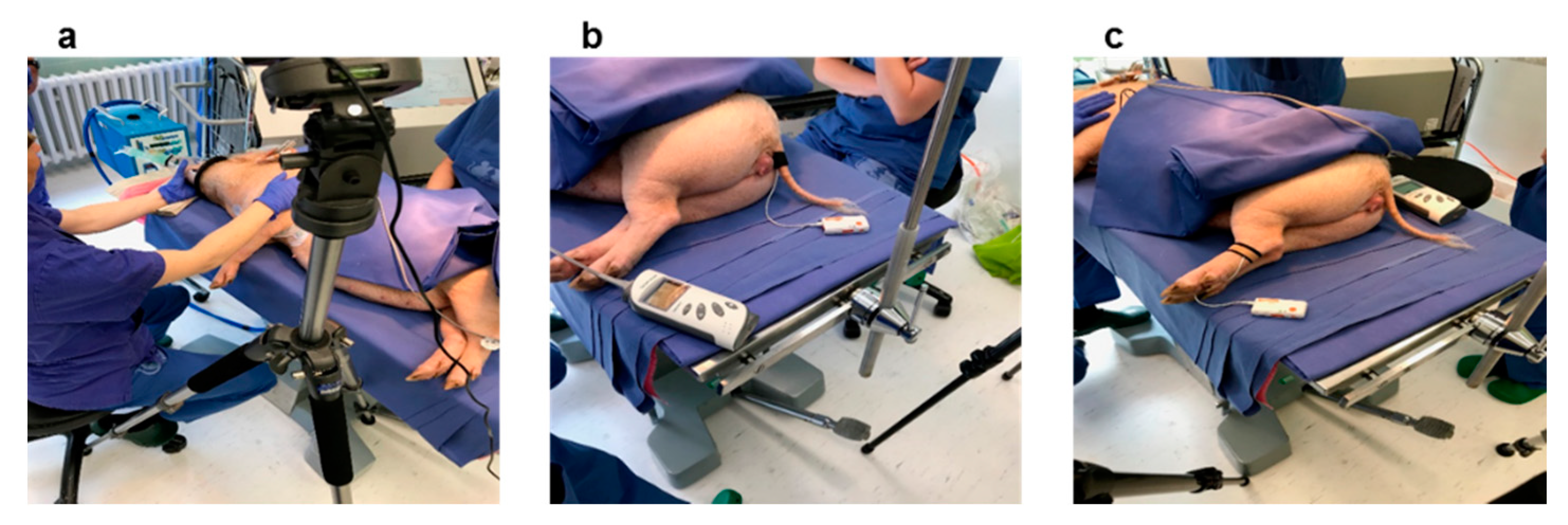 Sensors 20 04251 g001 Sensors 20 04251 g001