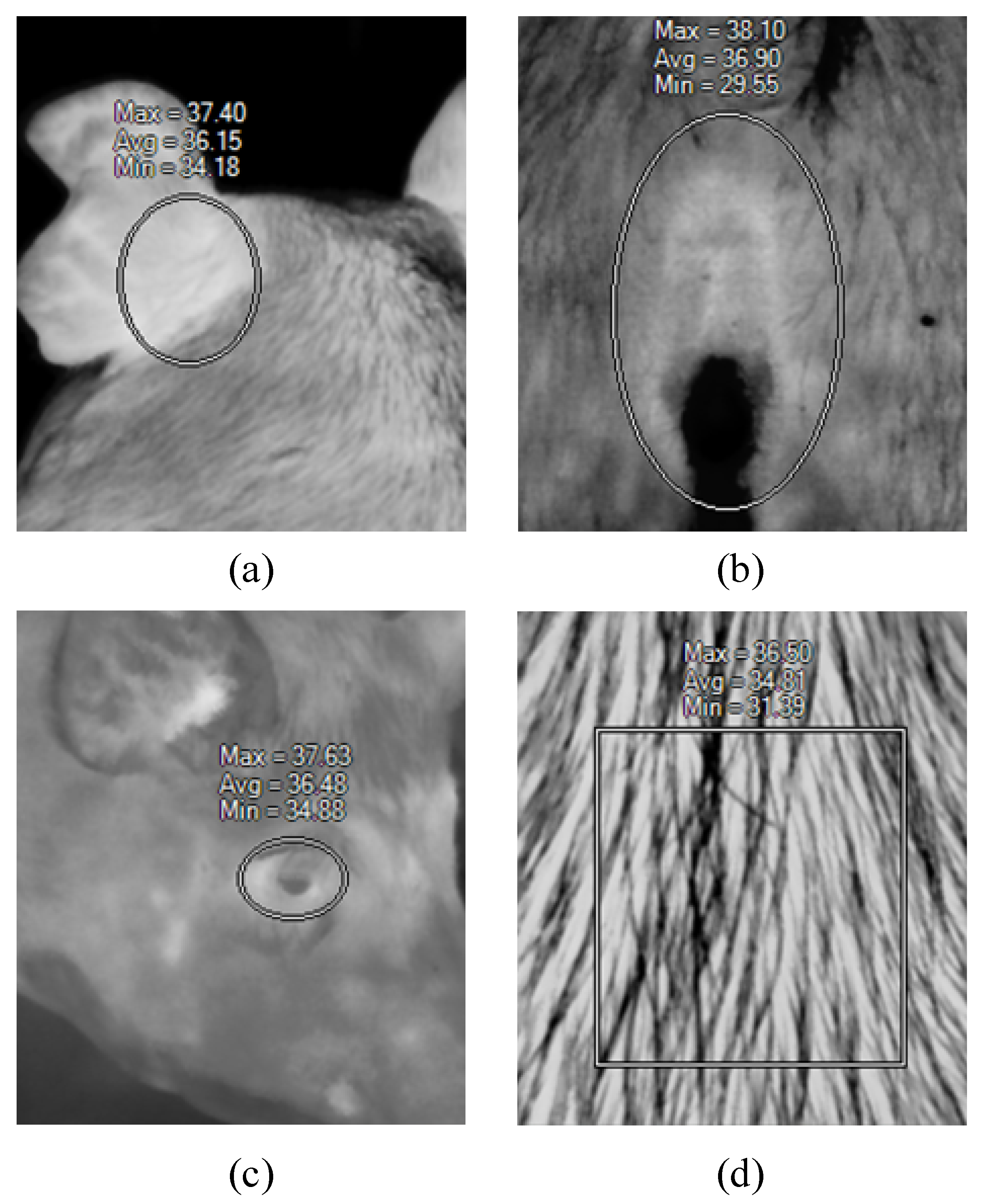 Sensors 20 04282 g001 Sensors 20 04282 g001
