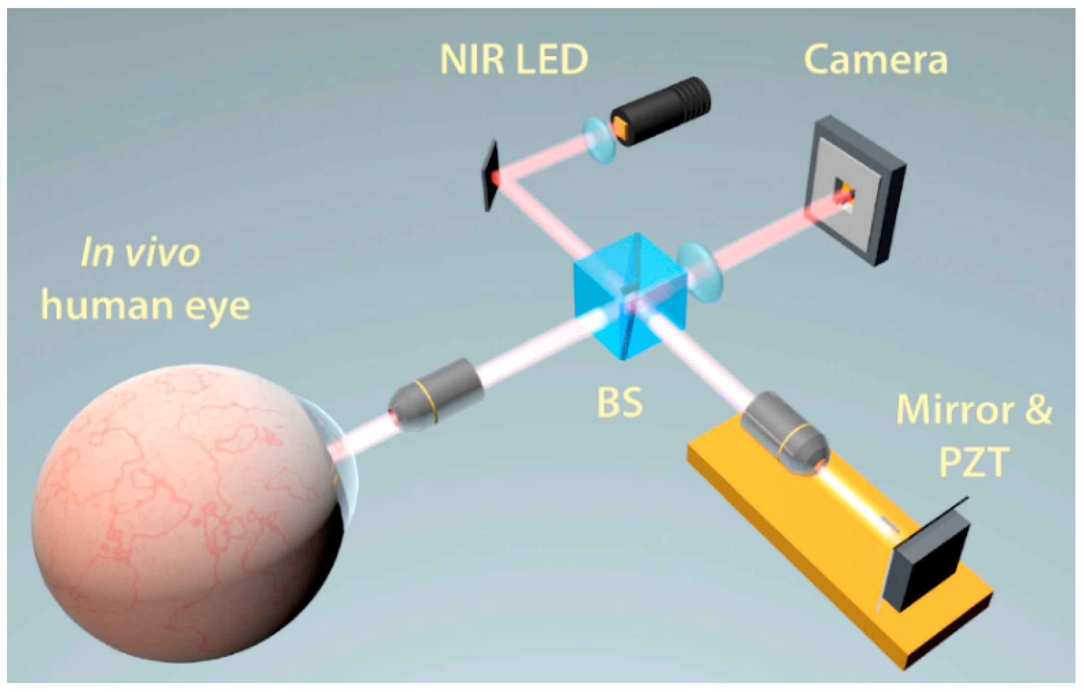 Sensors 20 04285 g018 Sensors 20 04285 g018