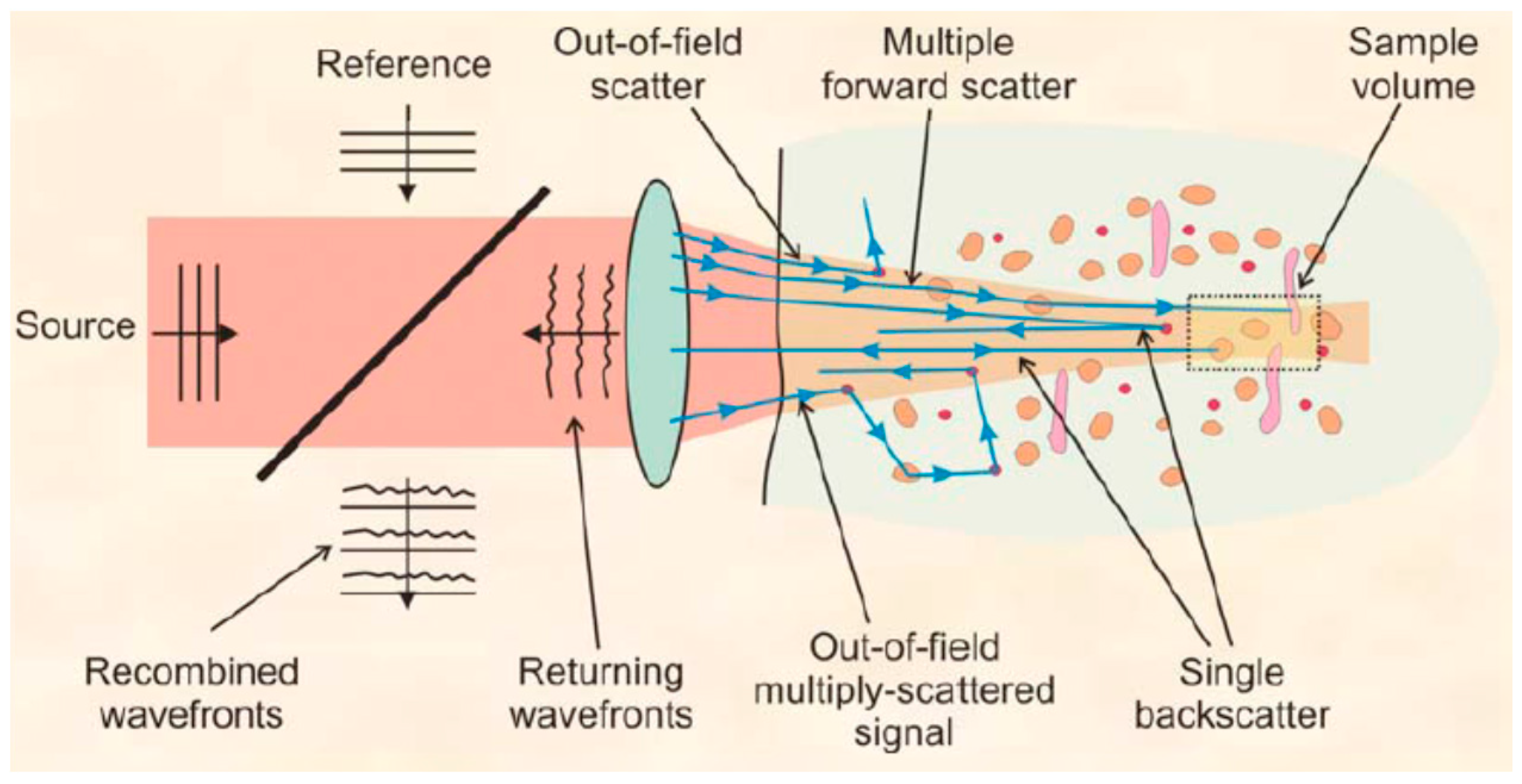 Sensors 20 04285 g020 Sensors 20 04285 g020