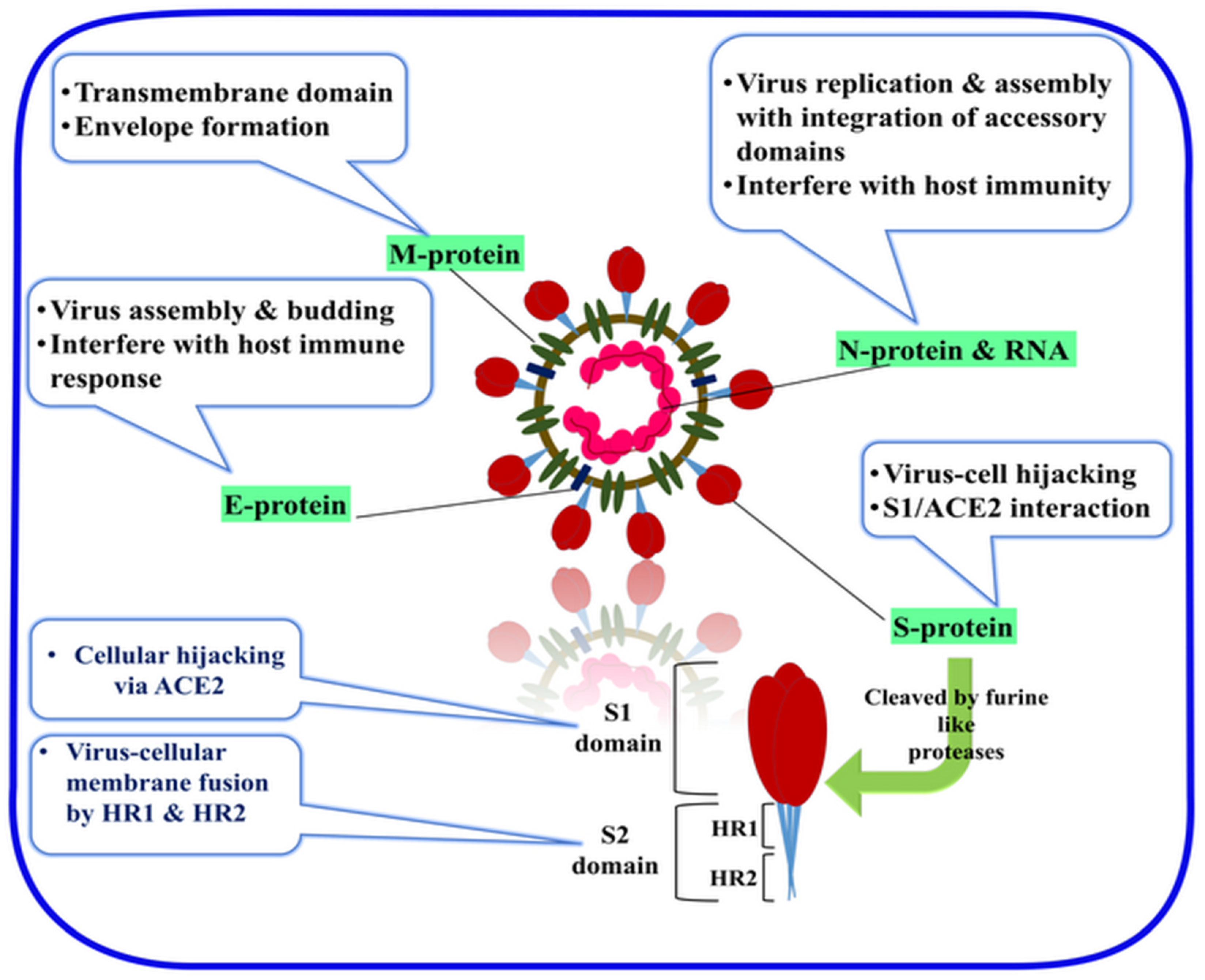 Sensors 20 04289 g004
