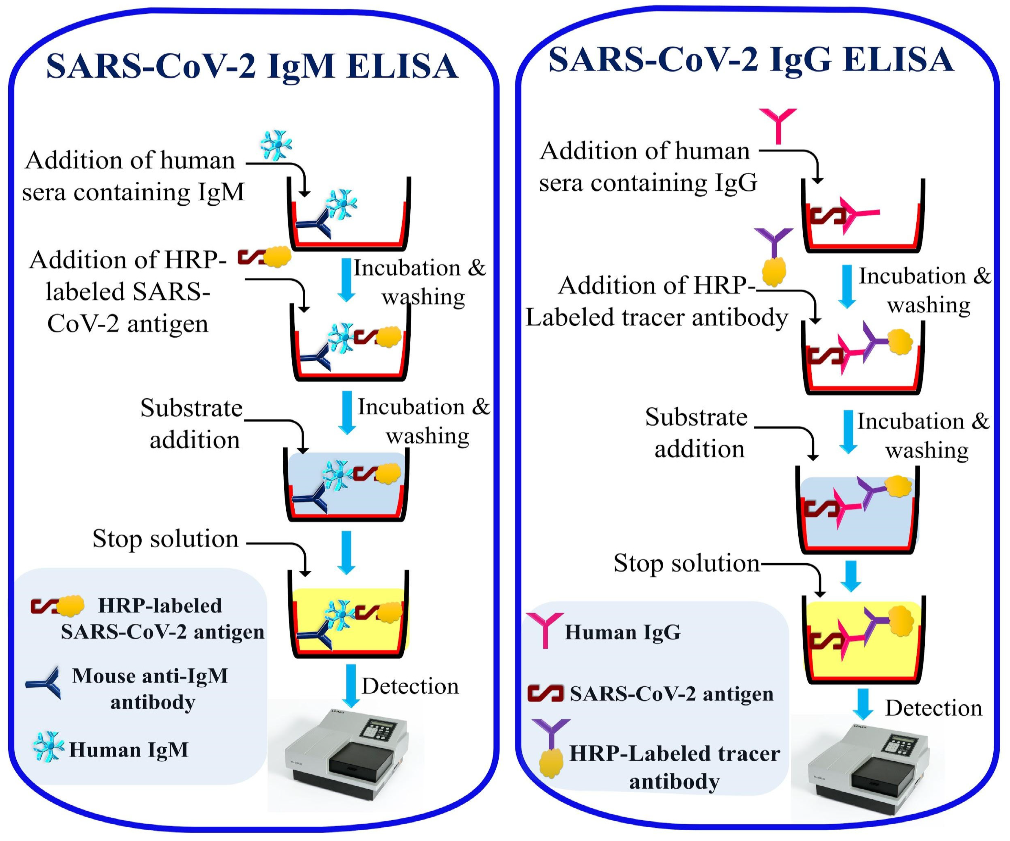 Sensors 20 04289 g006