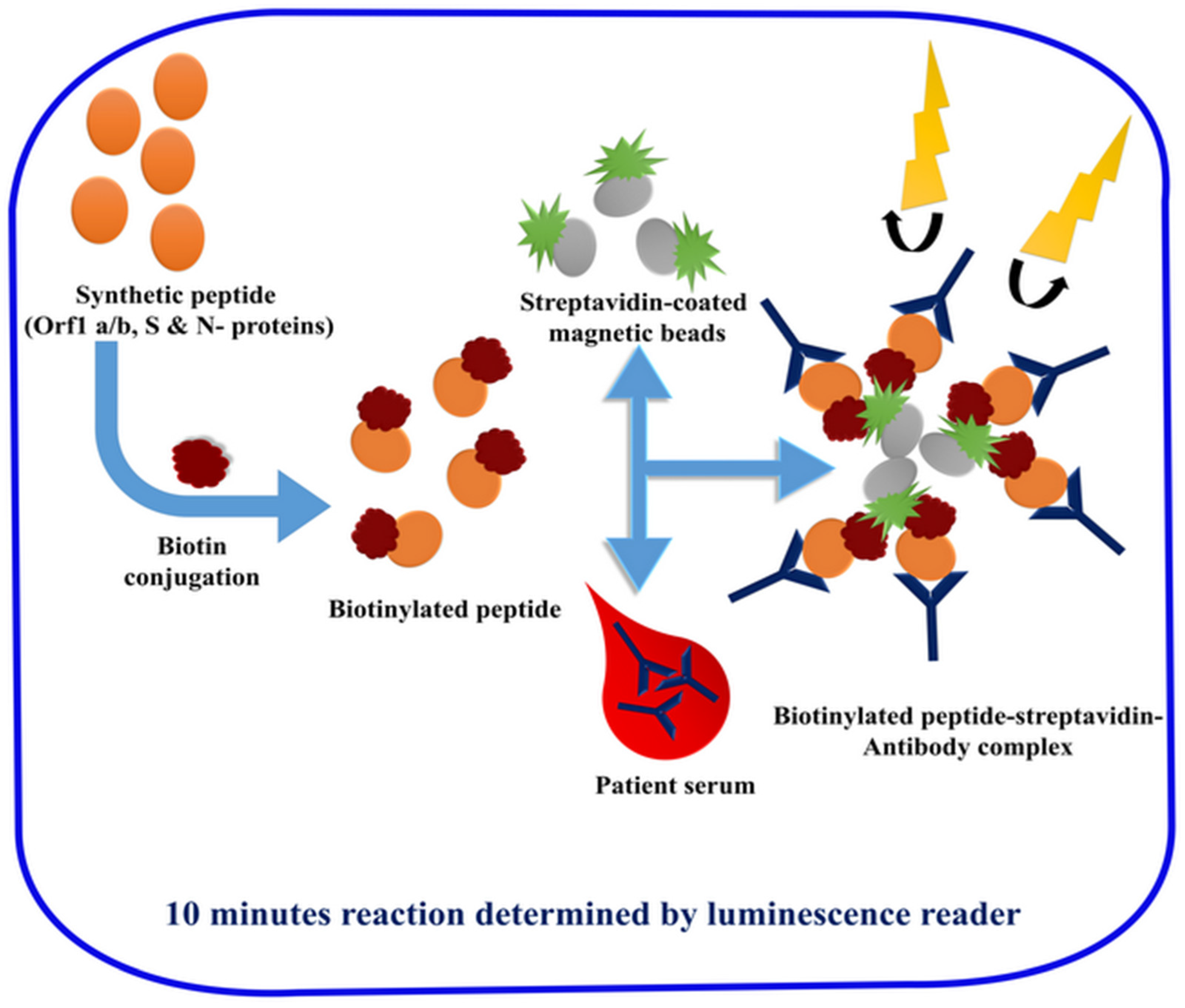 Sensors 20 04289 g007