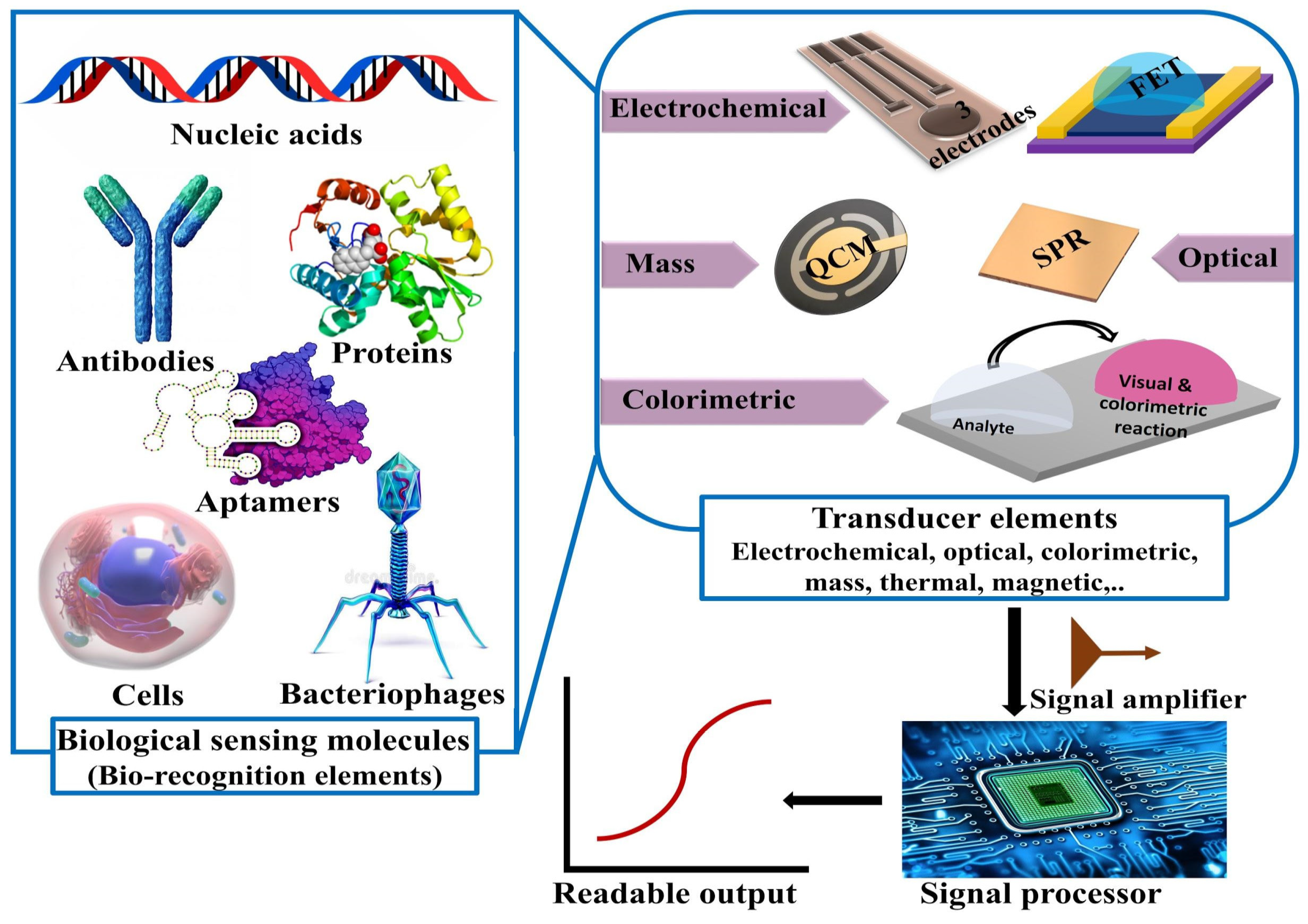 Sensors 20 04289 g008