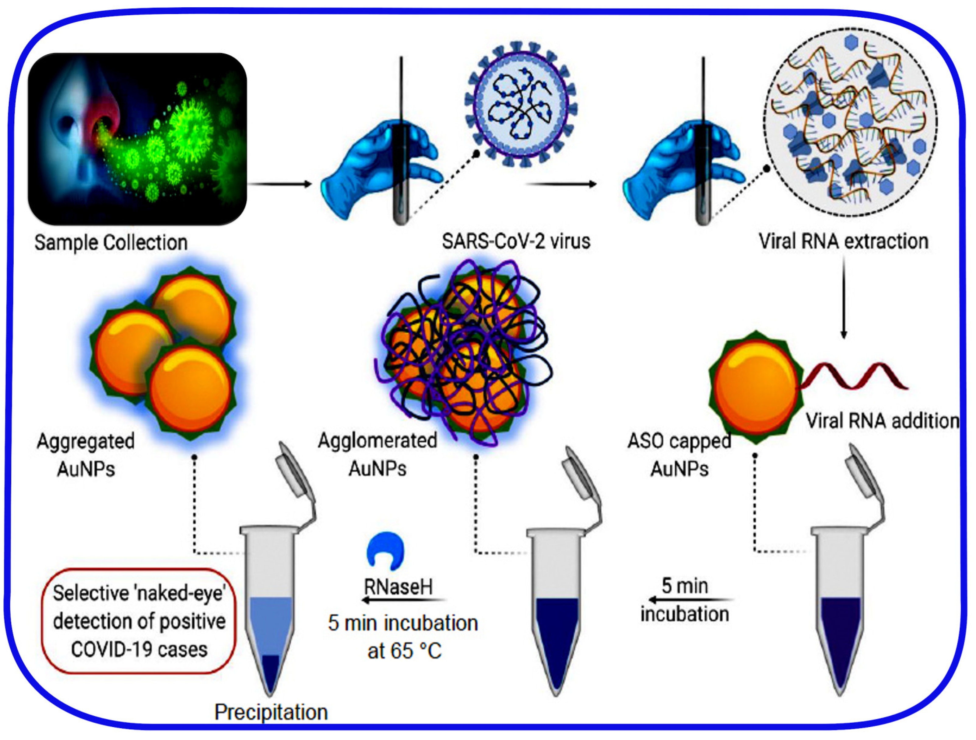 Рнк sars cov 2. SARS cov 2 диагностика. SARS-cov диагностика. Выявление РНК SARS-cov-2.