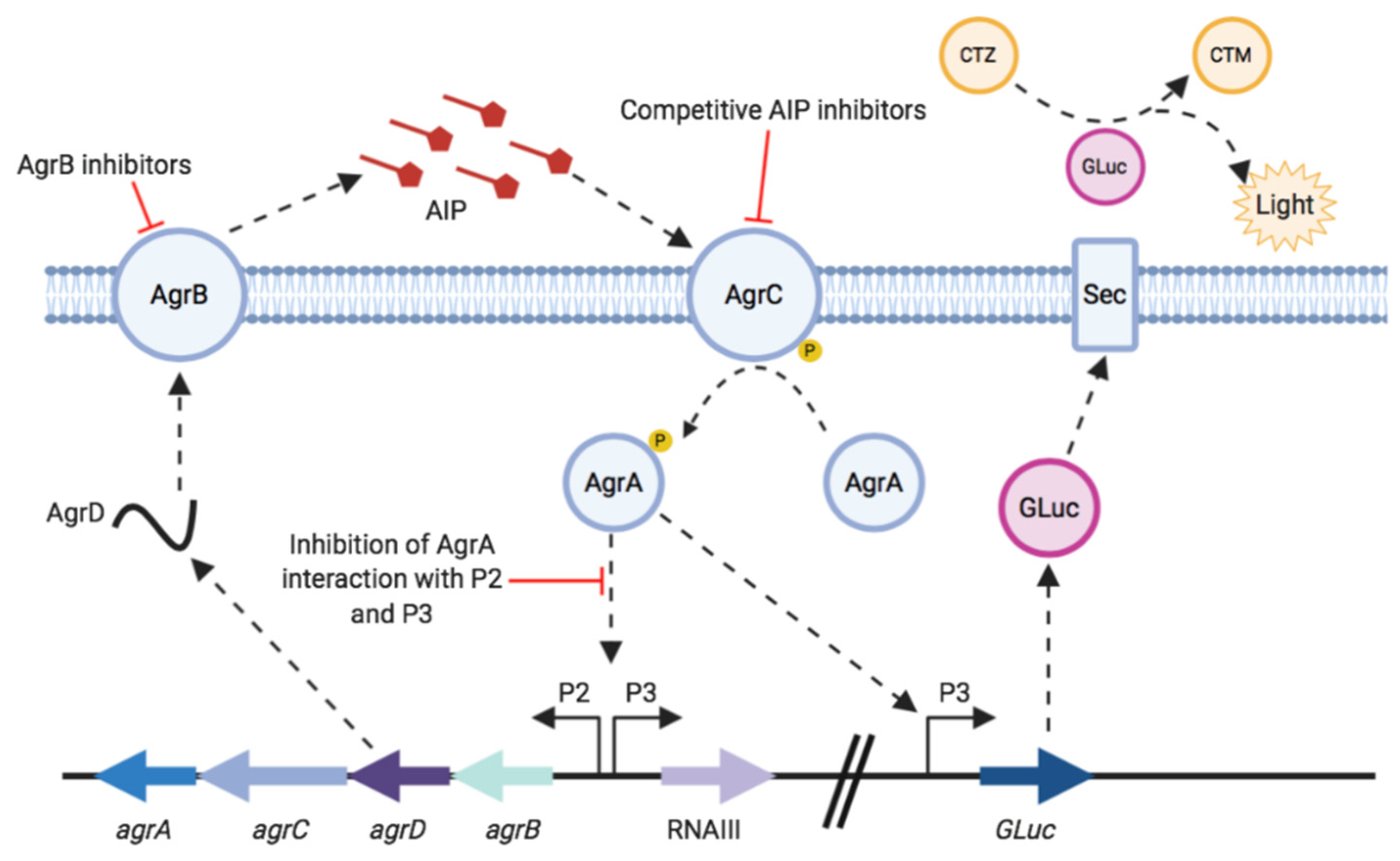 Sensors 20 04305 g001 Sensors 20 04305 g001