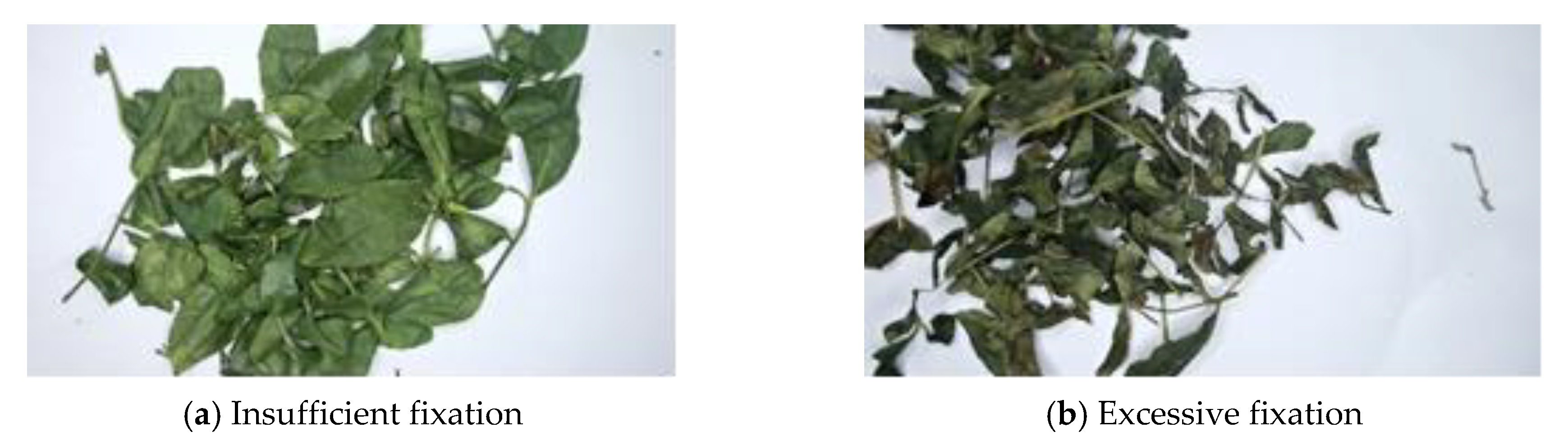 Sensors 20 04312 g002