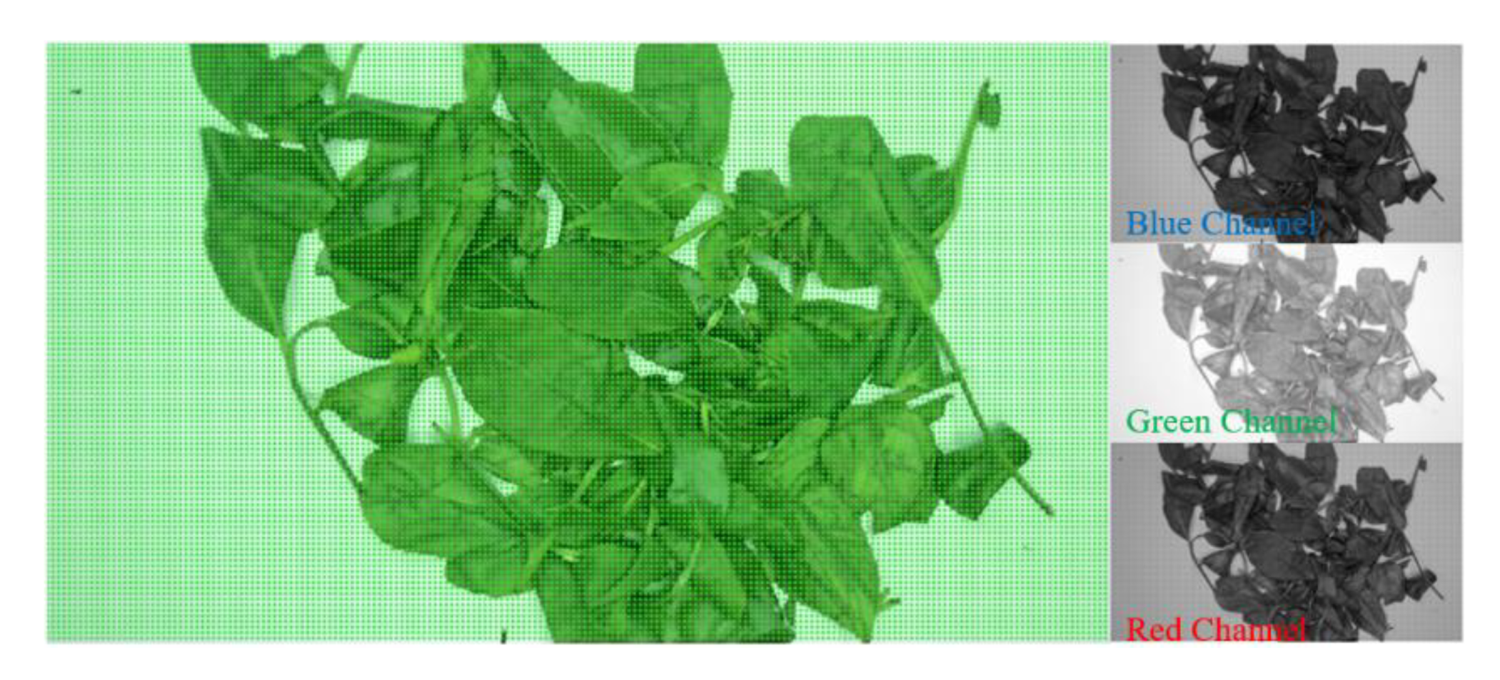 Sensors 20 04312 g003