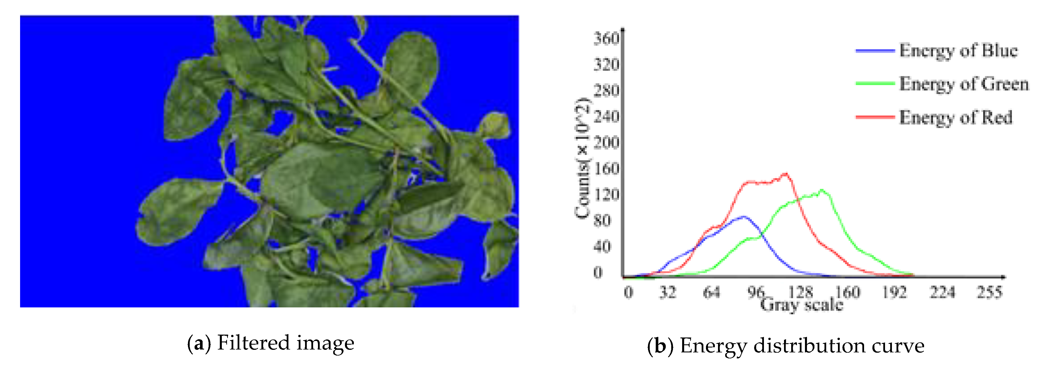 Sensors 20 04312 g005