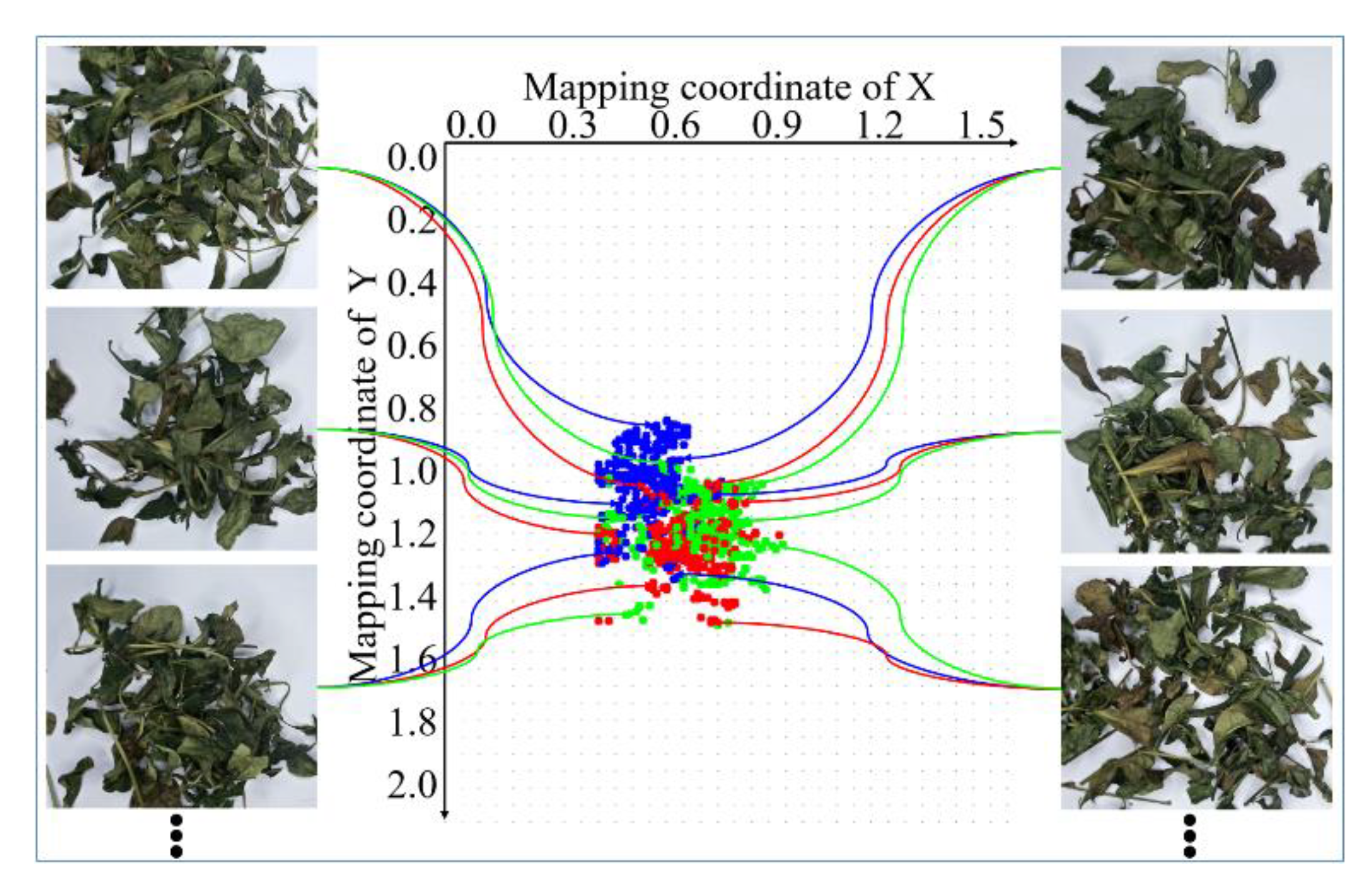 Sensors 20 04312 g007