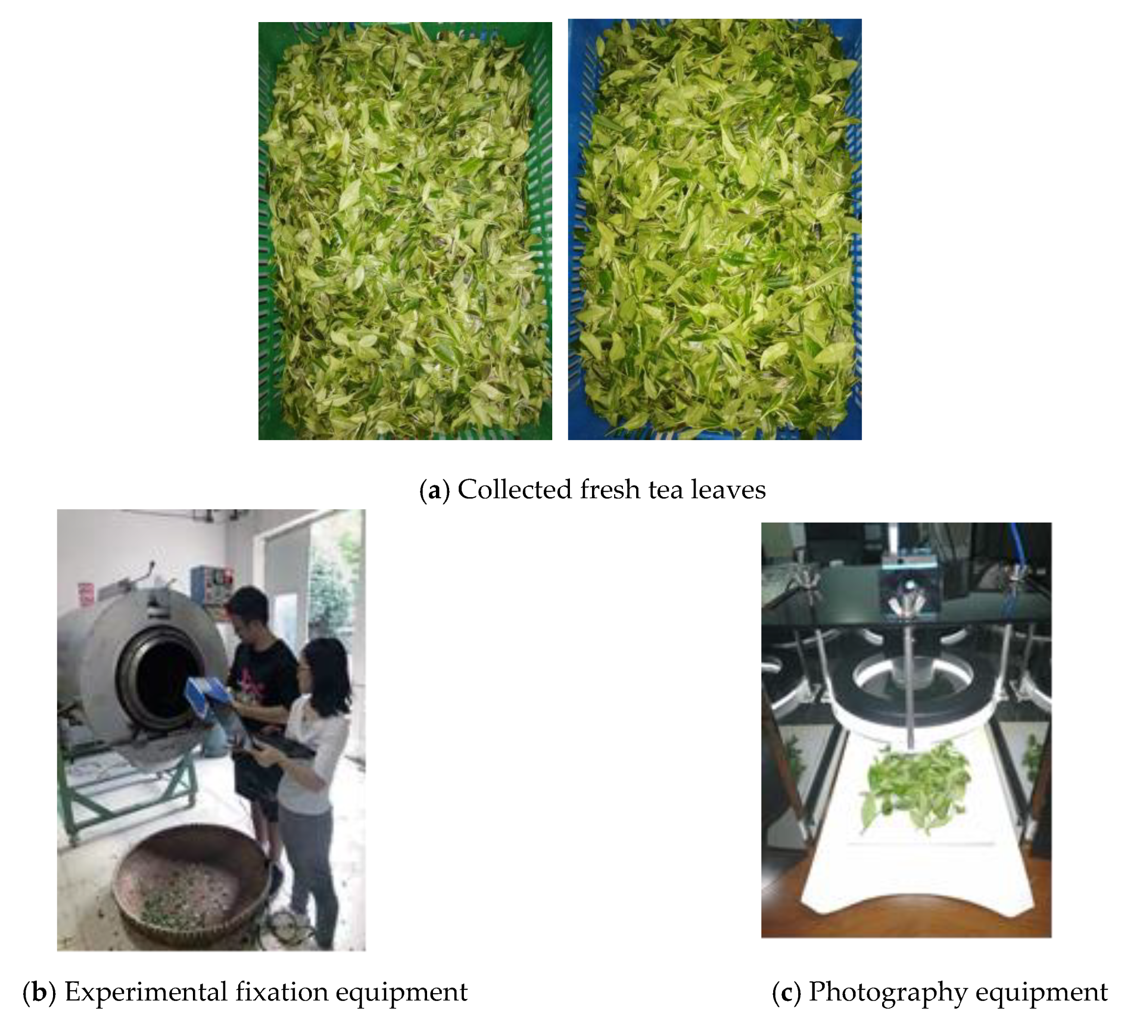 Sensors 20 04312 g009