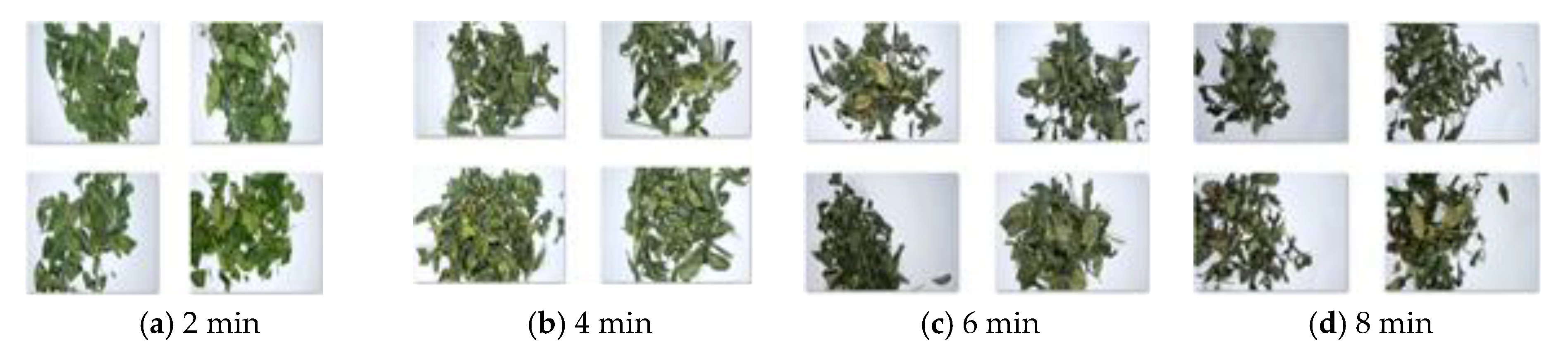 Sensors 20 04312 g010