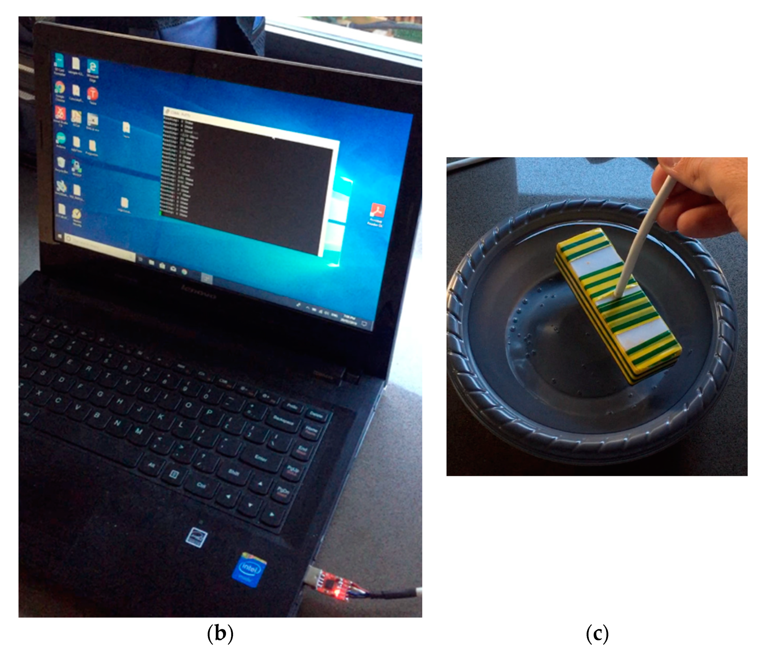 Sensors 20 04313 g012b