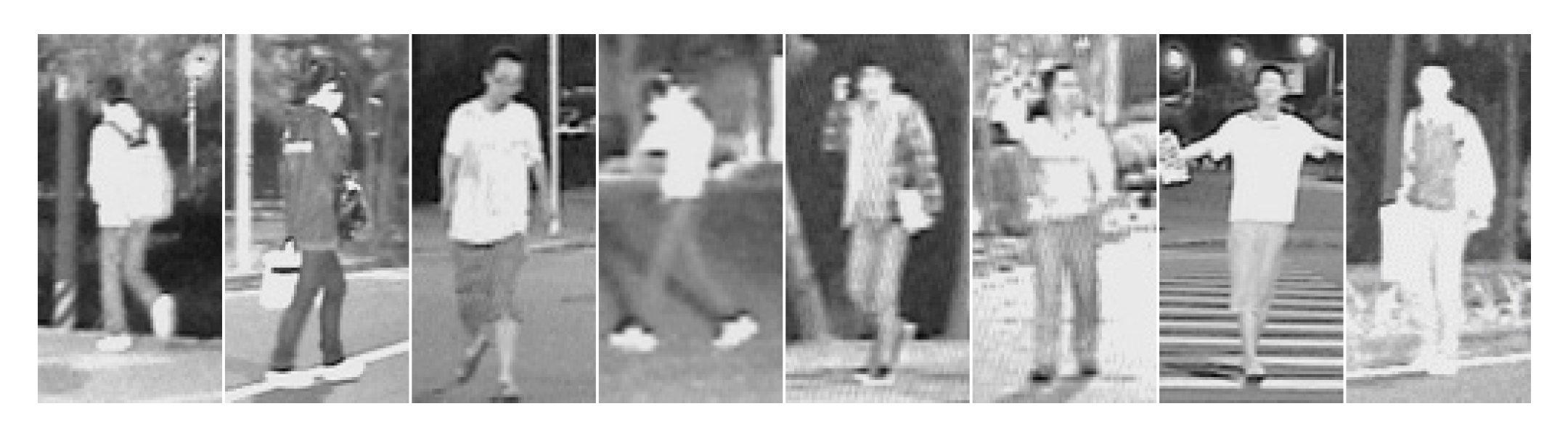 Sensors 20 04363 g006