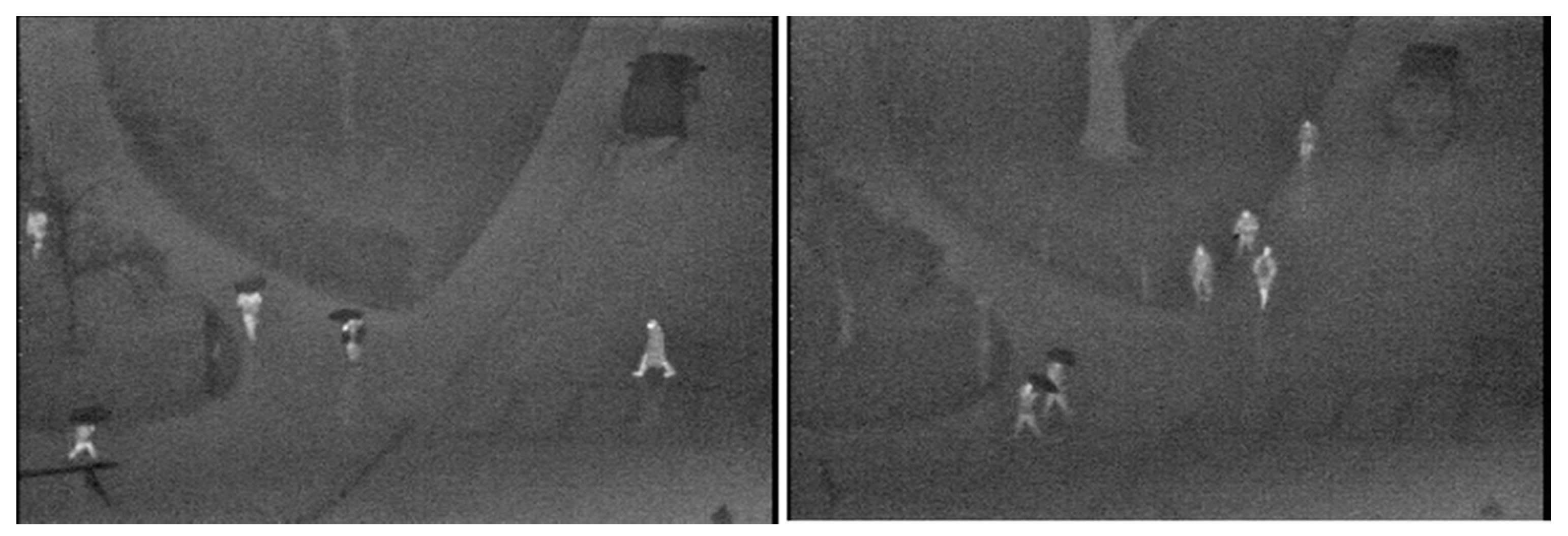 Sensors 20 04363 g007