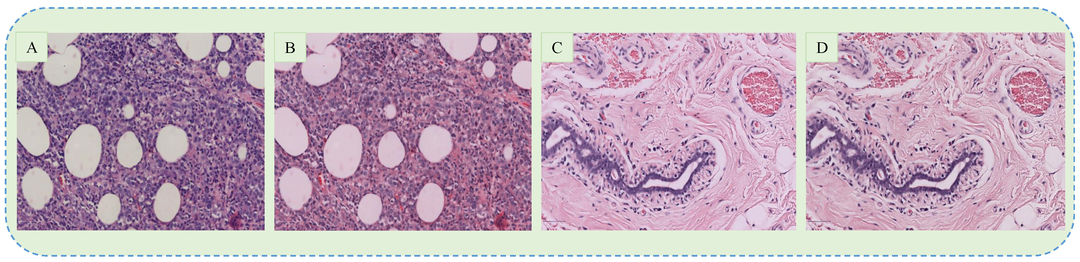 Sensors 20 04373 g002 Sensors 20 04373 g002