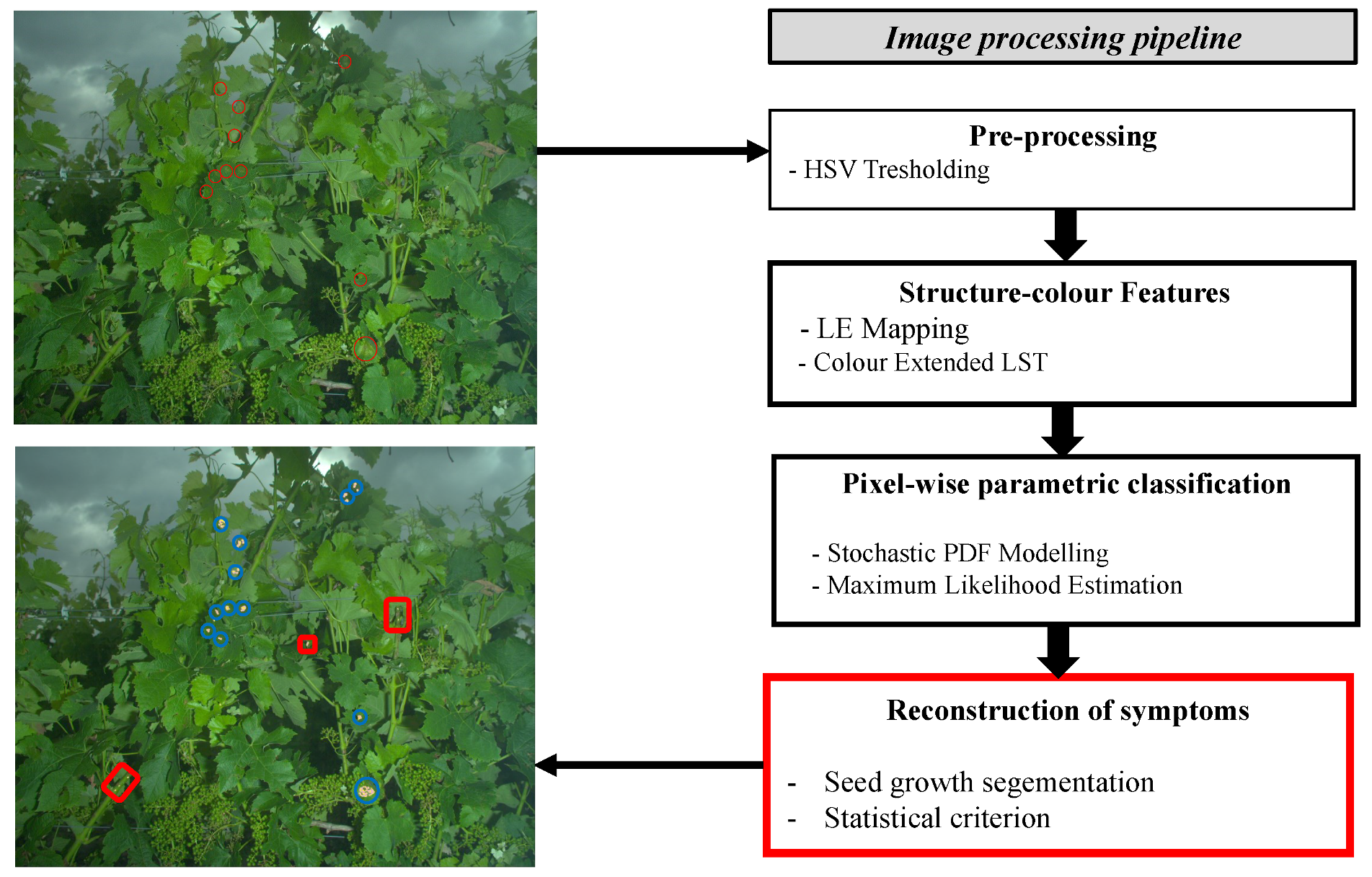 Sensors 20 04380 g003
