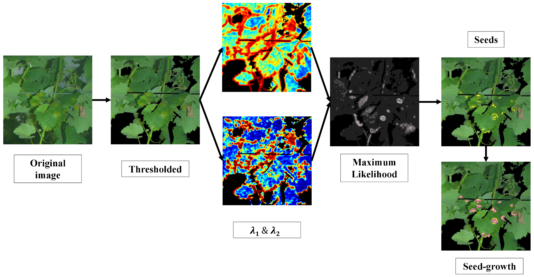 Sensors 20 04380 g004