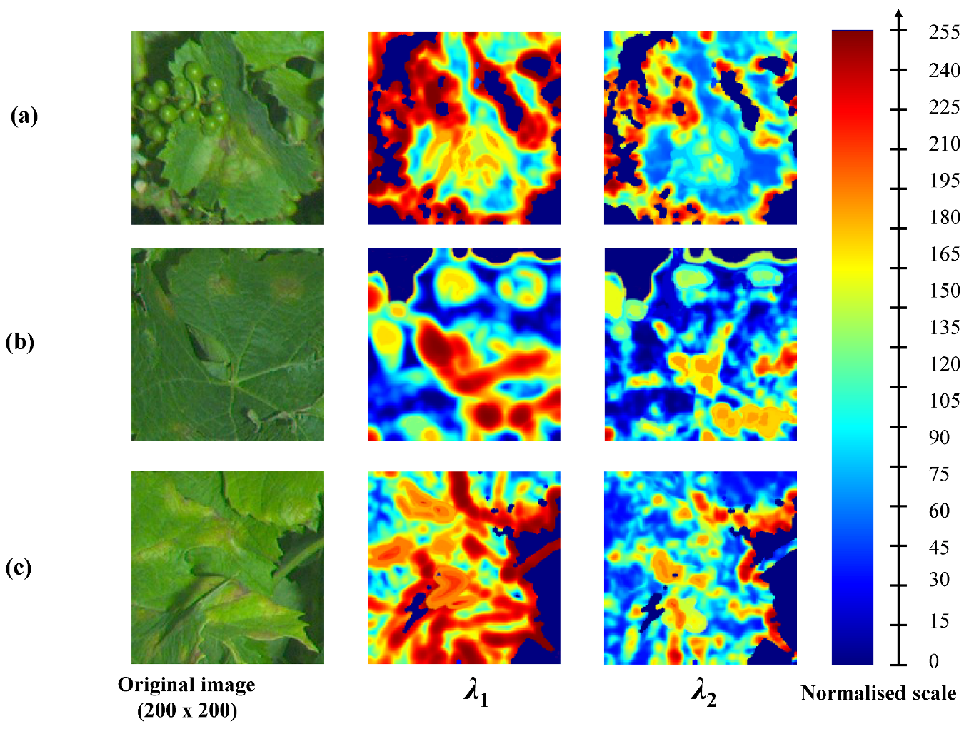 Sensors 20 04380 g005