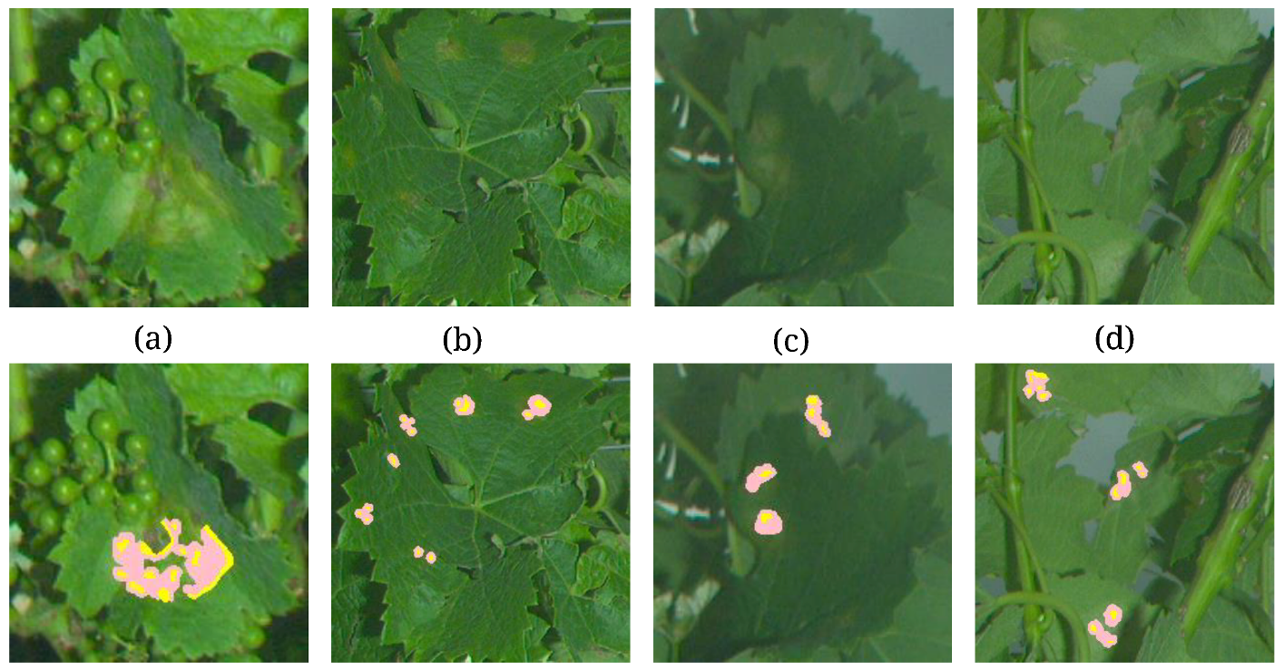 Sensors 20 04380 g012