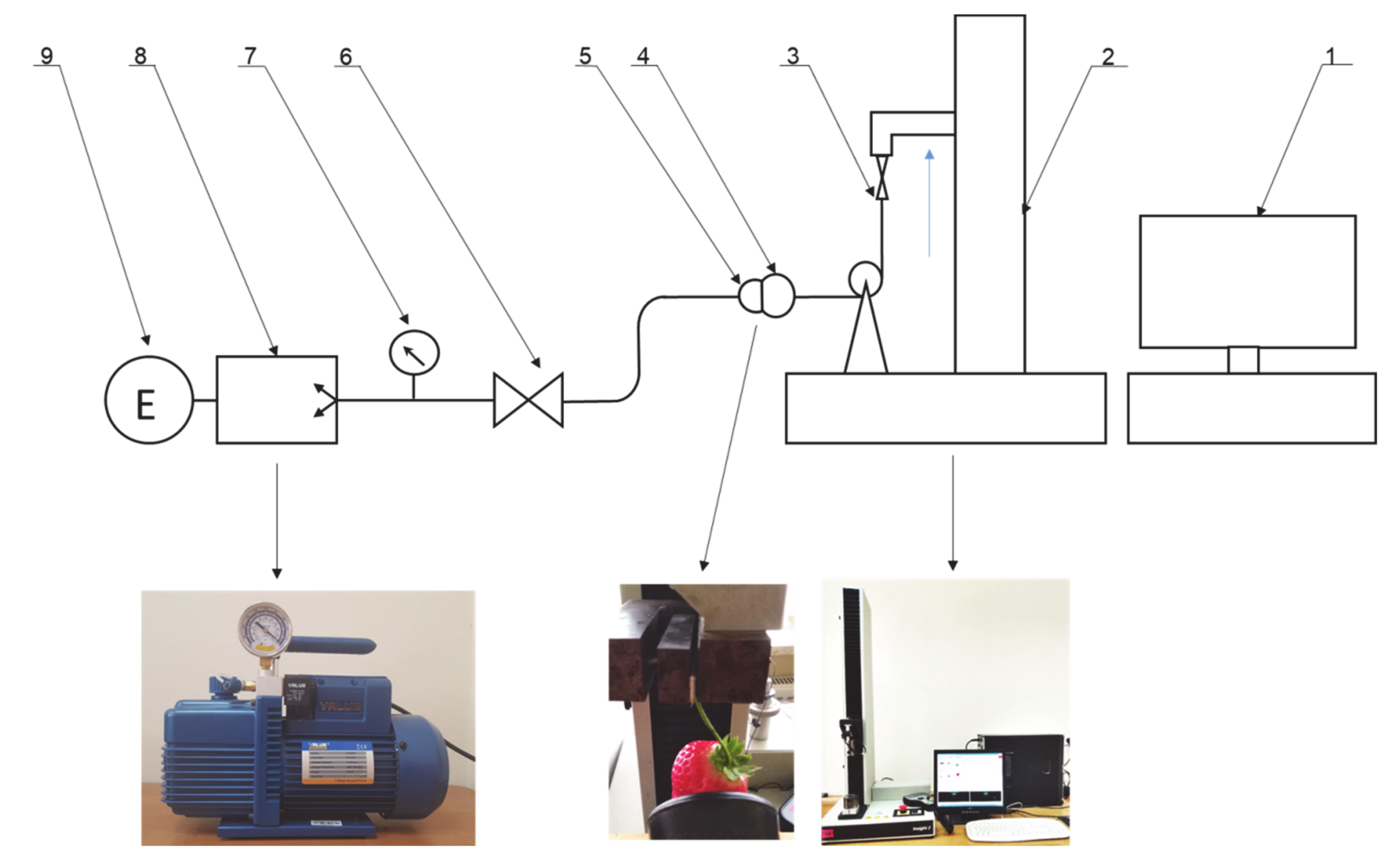 Sensors 20 04389 g001