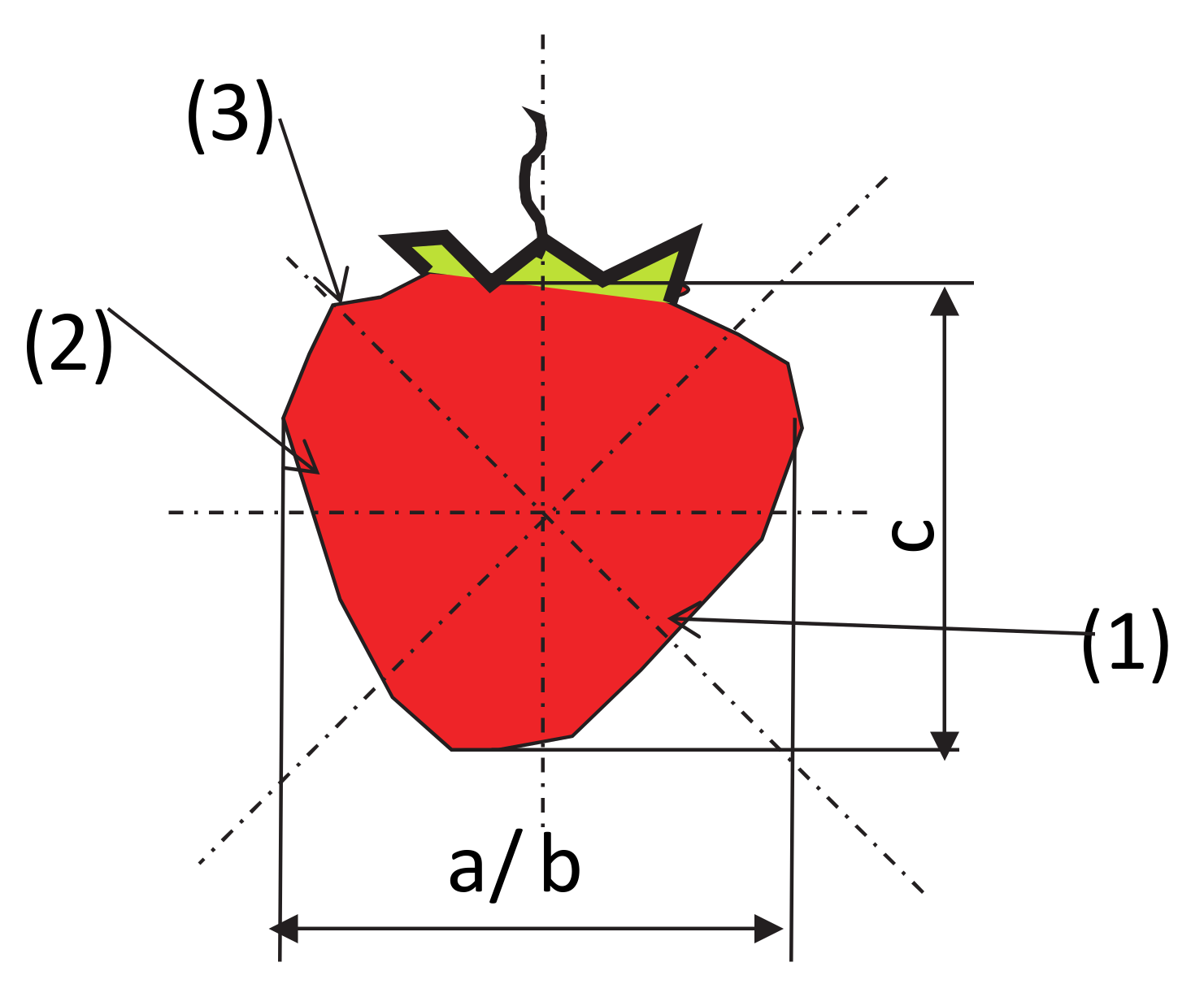 Sensors 20 04389 g002