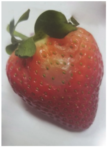 Sensors 20 04389 i003