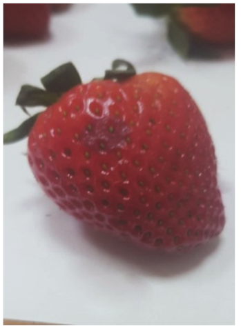 Sensors 20 04389 i006