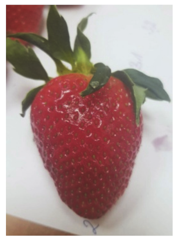 Sensors 20 04389 i008