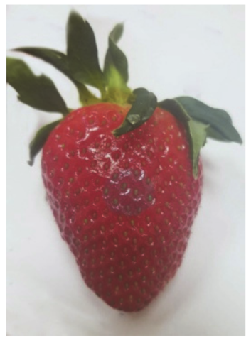 Sensors 20 04389 i009