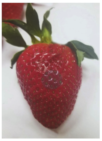 Sensors 20 04389 i010